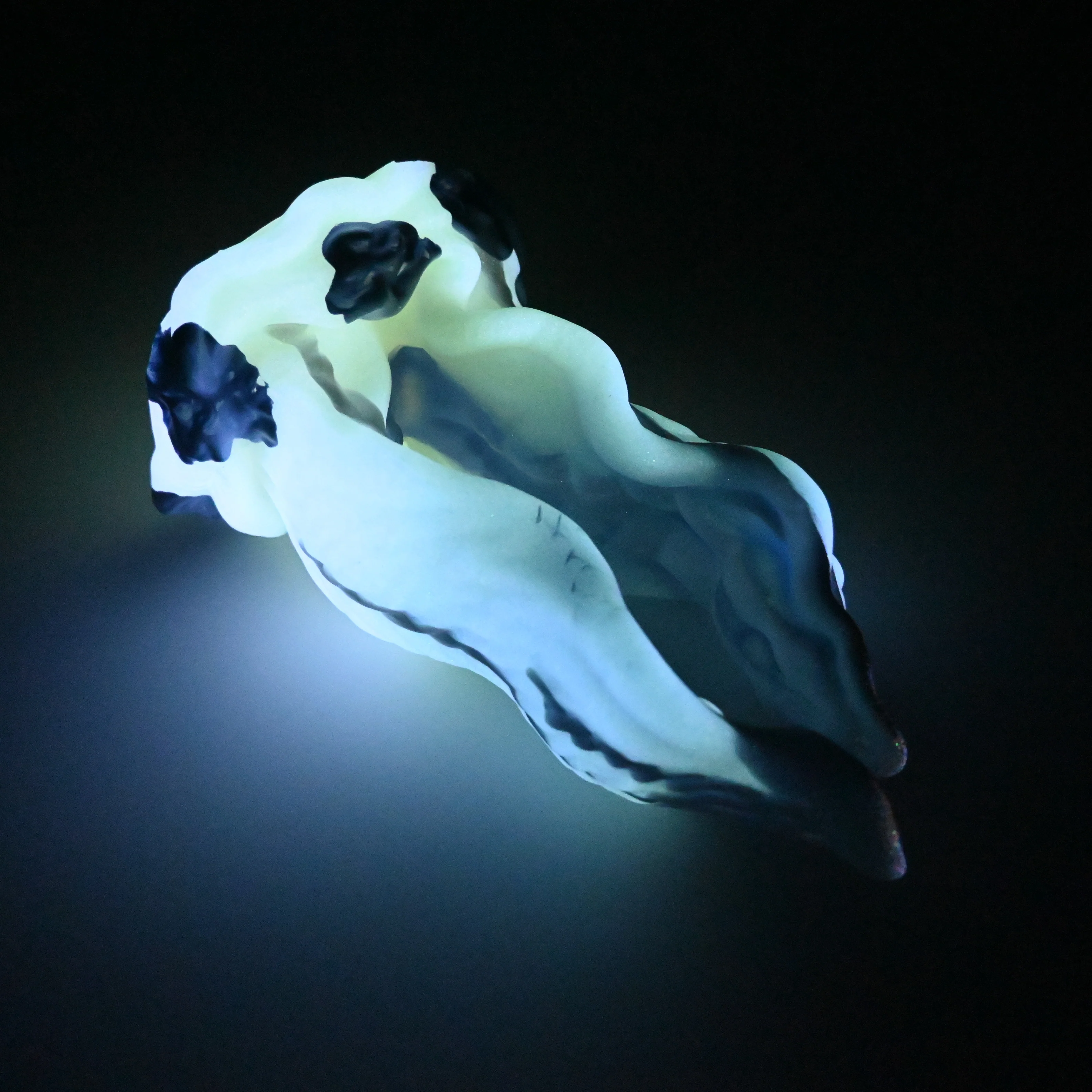 A4SGZ37 Alara Large 0030 UV GITD *FLOP* - Image 4