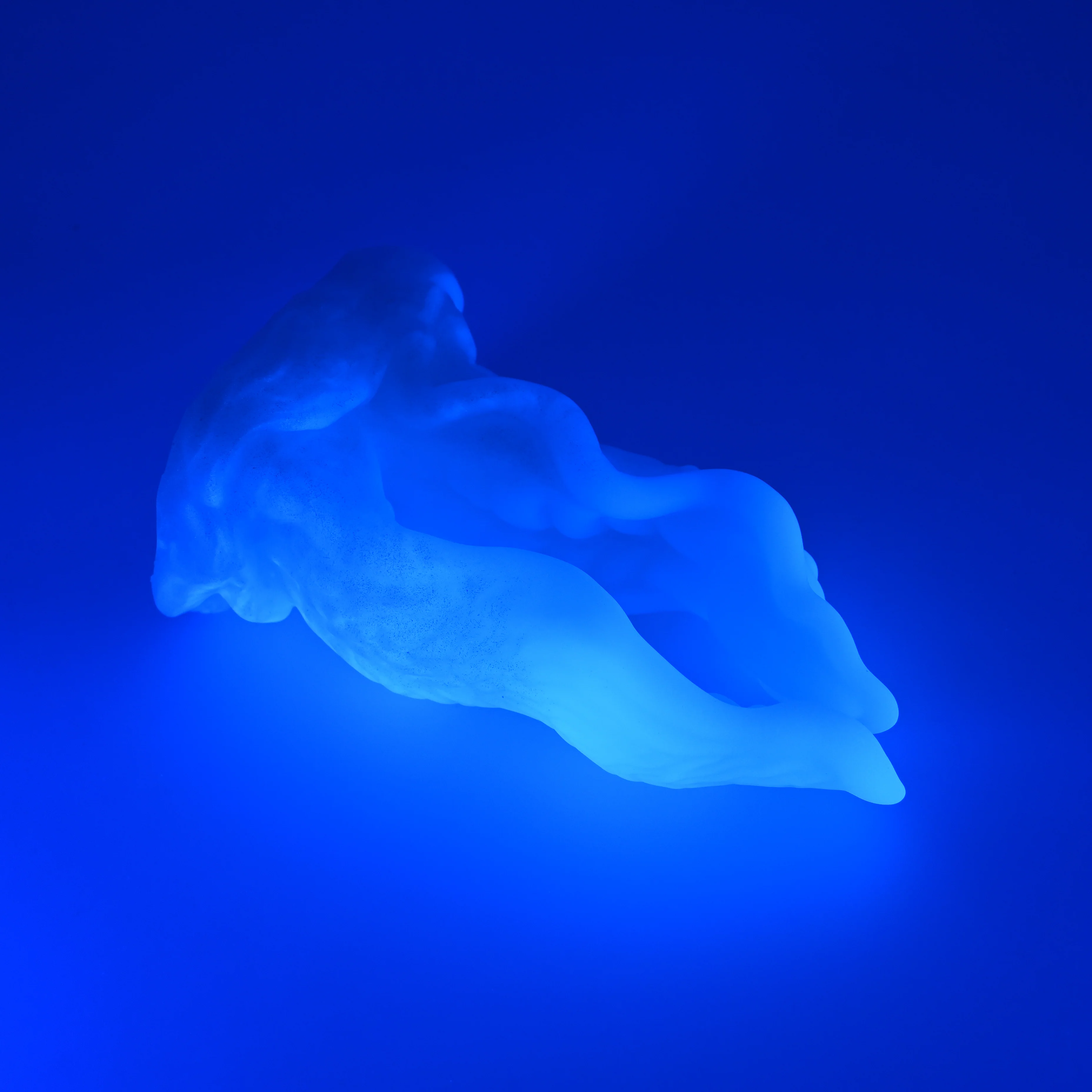A4SHE05 Alara Large 0030 UV GITD - Image 3