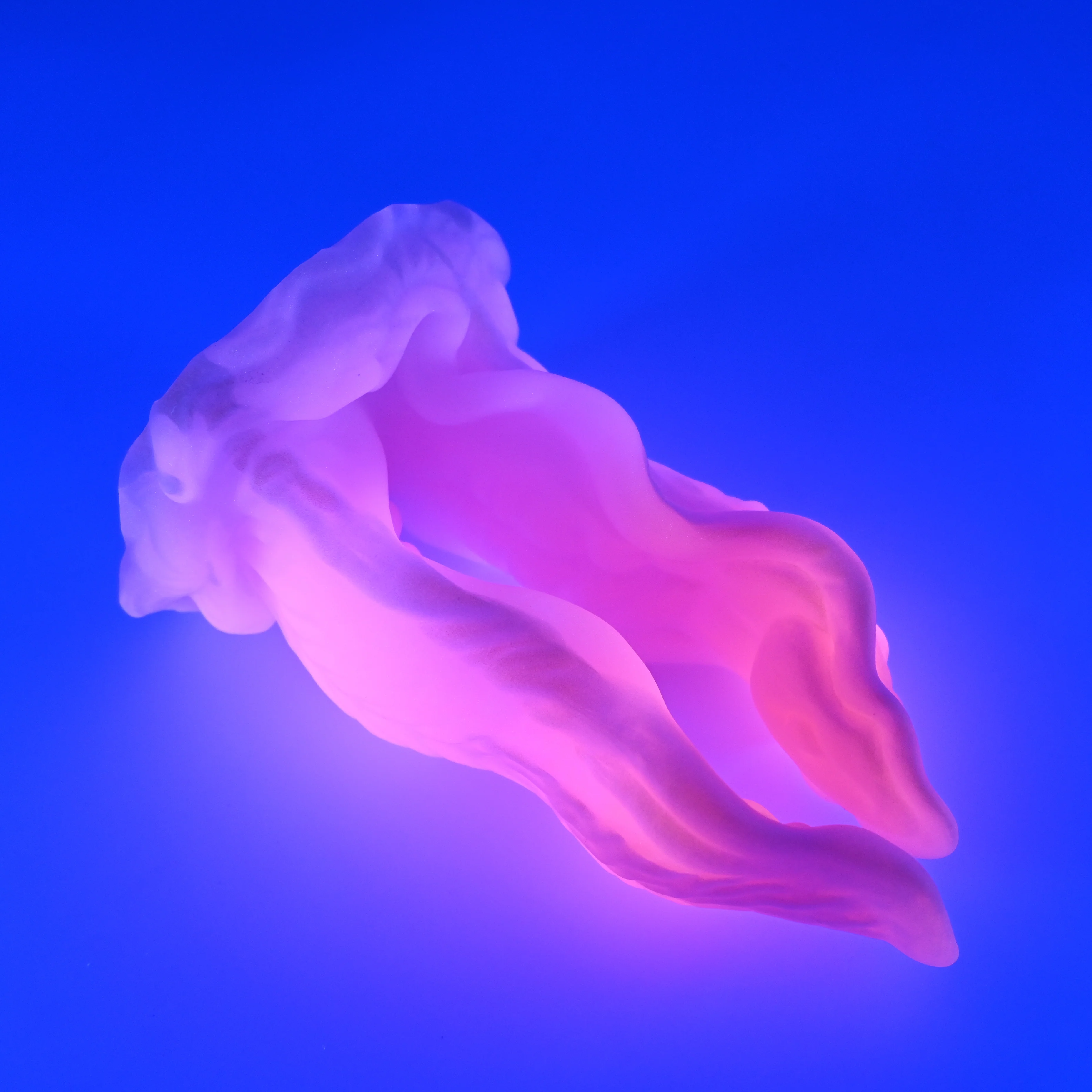 A4SHK37 Alara Large 0030 UV GITD - Image 3