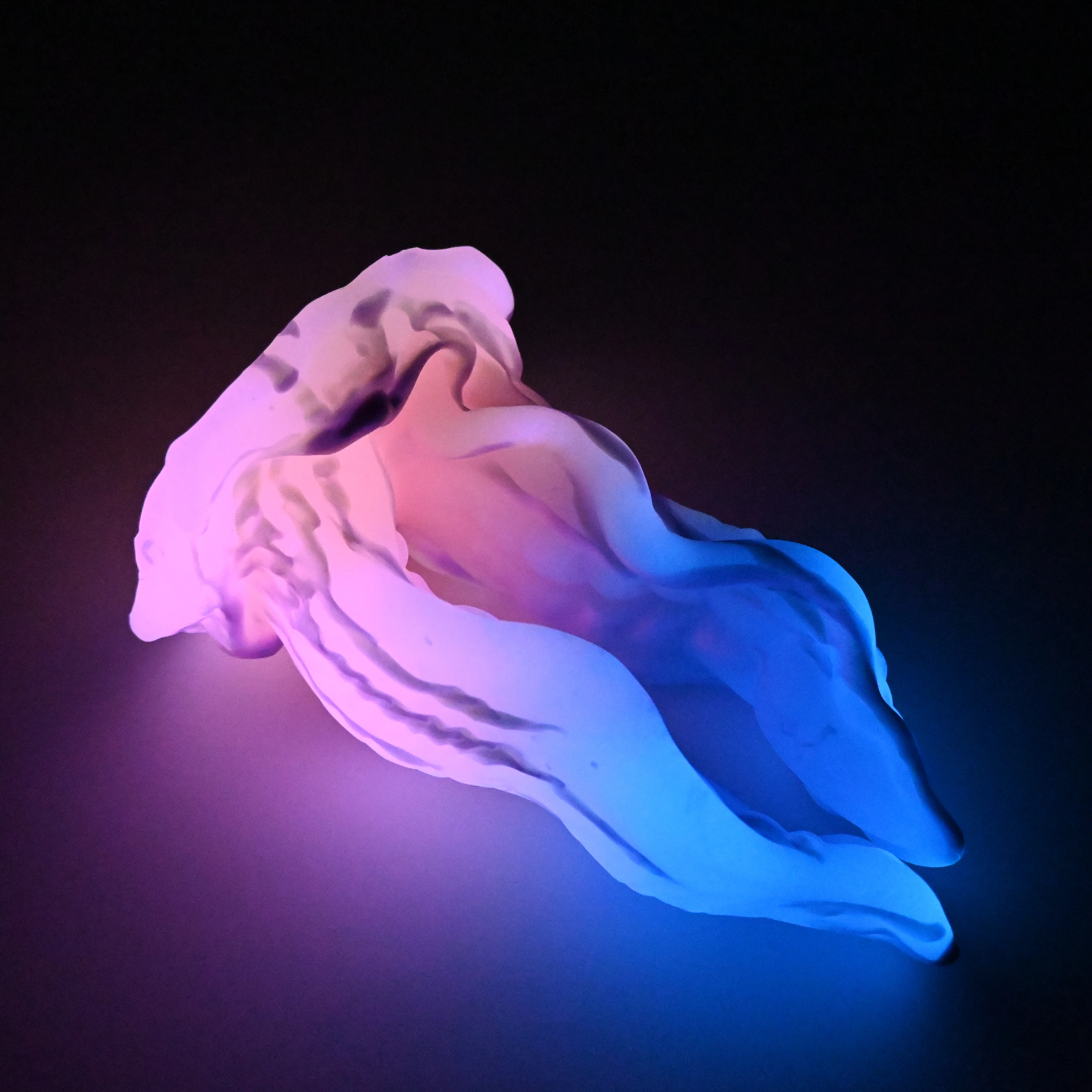 A4XJH19 Alara Large 0020 UV GITD CS - Image 4