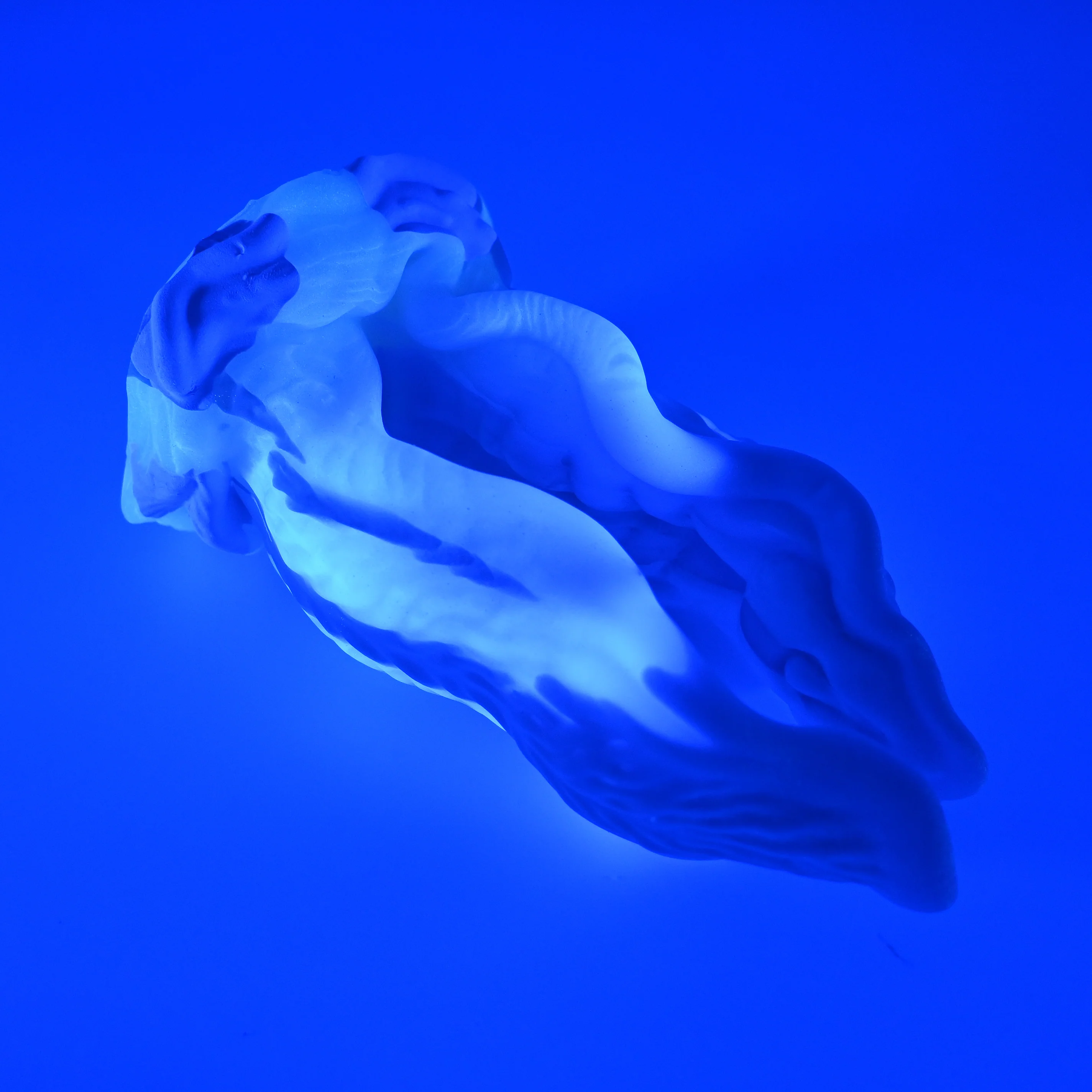 A3SGZ34 Alara Medium 0030 UV GITD *FLOP* - Image 3