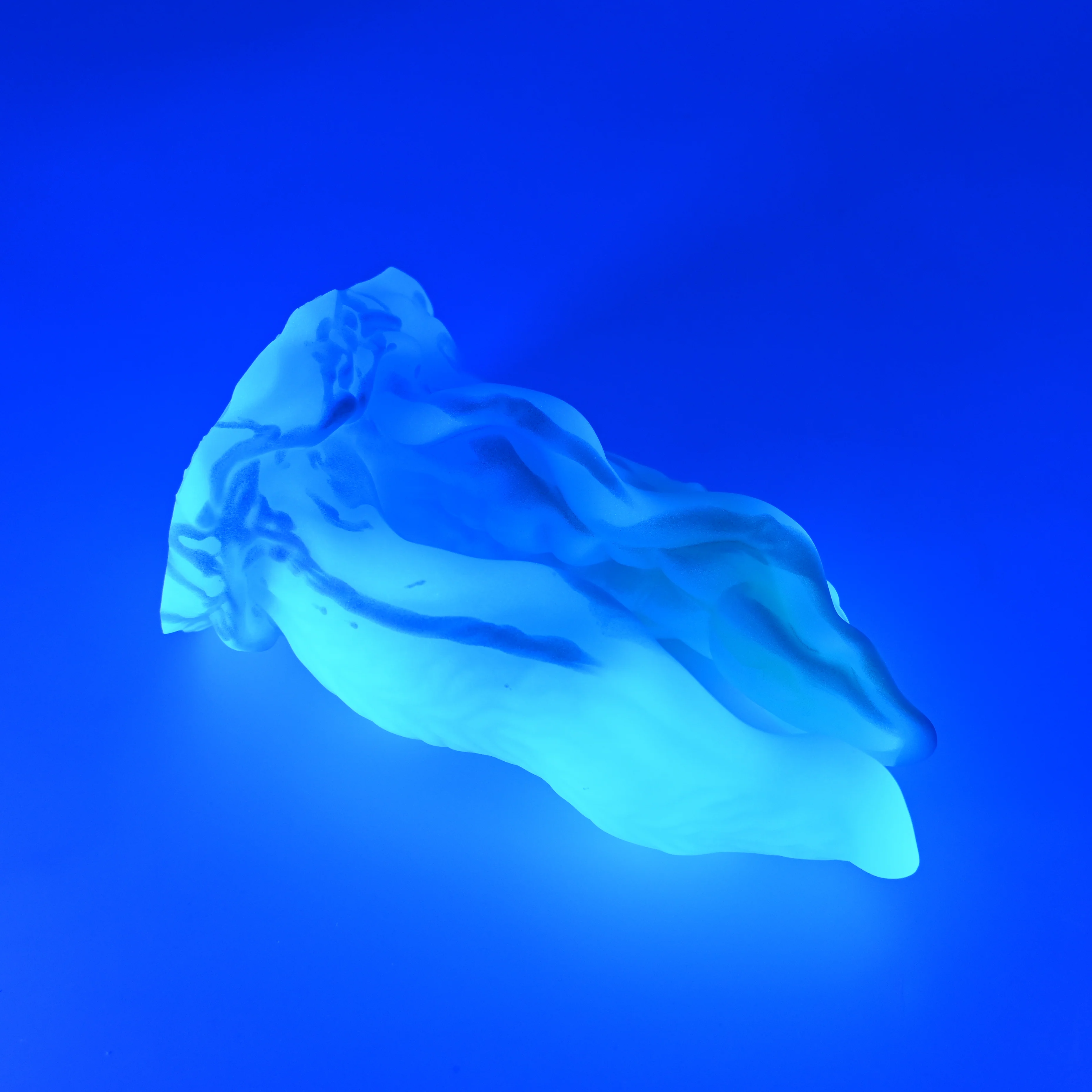 A3SJH16 Alara Medium 0030 UV GITD CS - Image 3