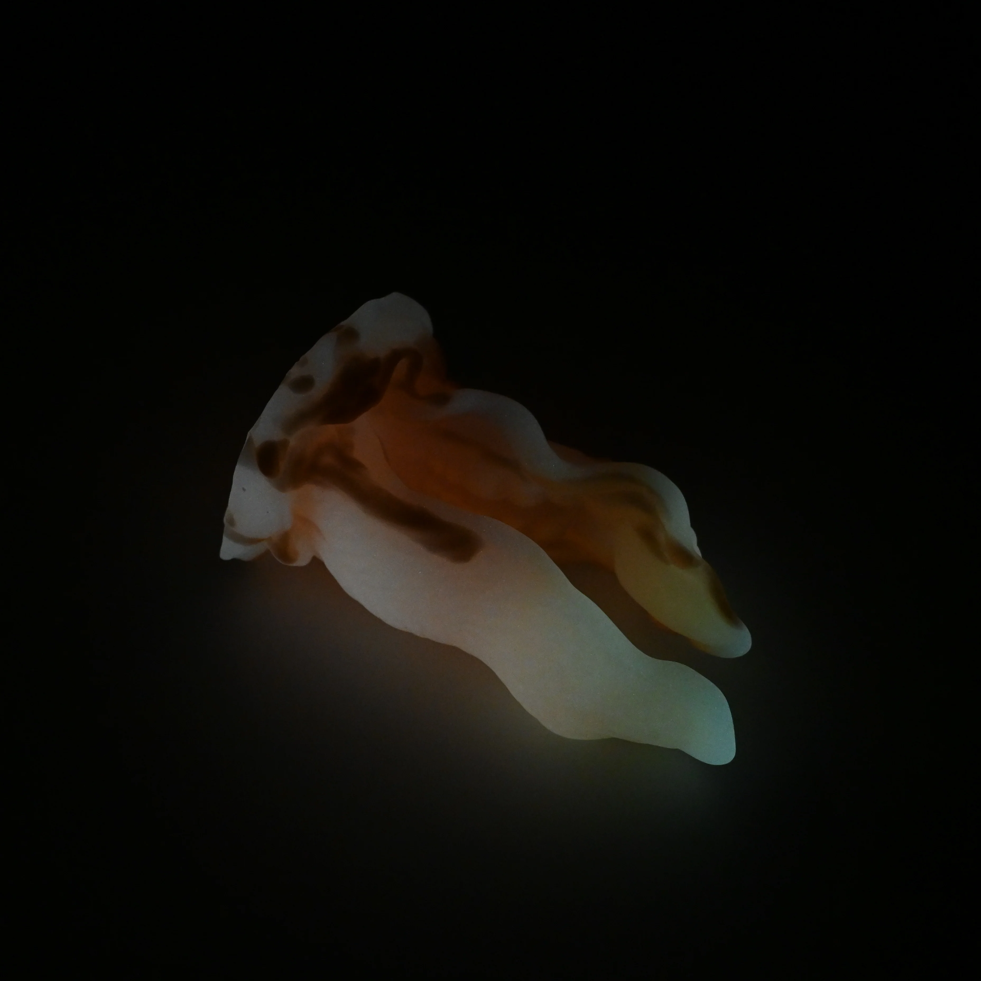 A2MJF58 Alara Small 0050 UV GITD - Image 4