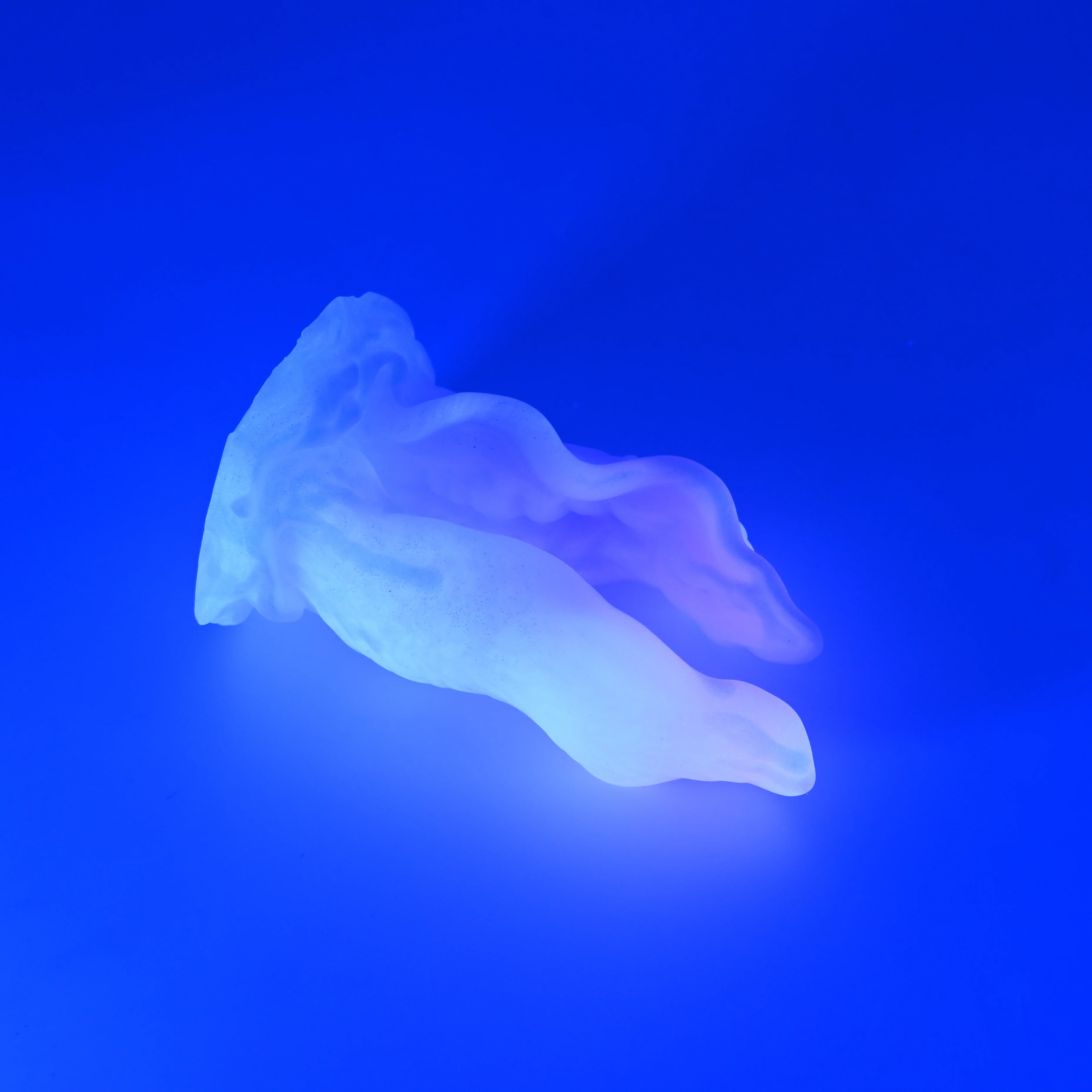 A2MJK91 Alara Small 0050 UV GITD CS - Image 3