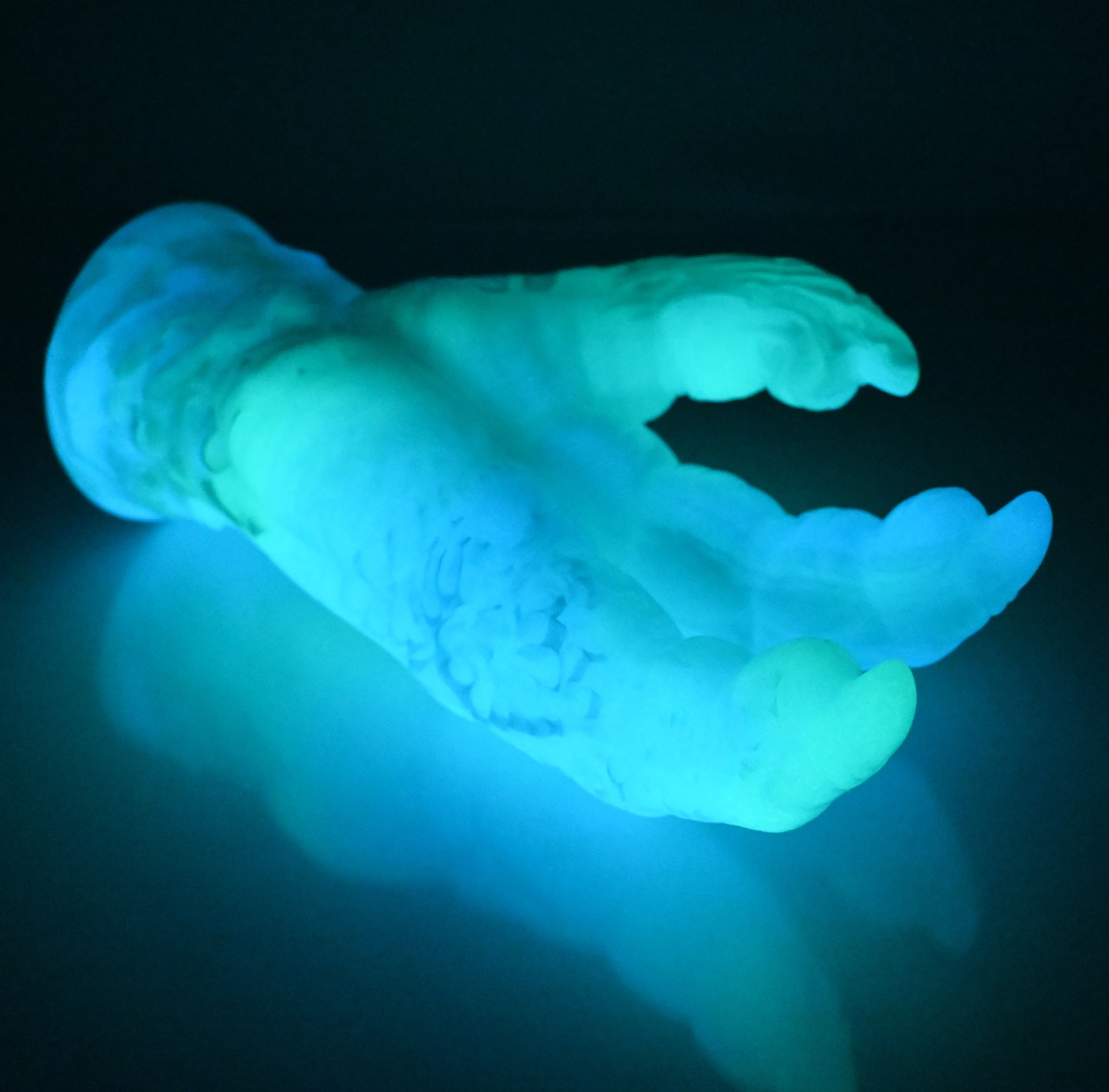 L3MEB06 Altair Medium 0050 UV GITD - Image 4