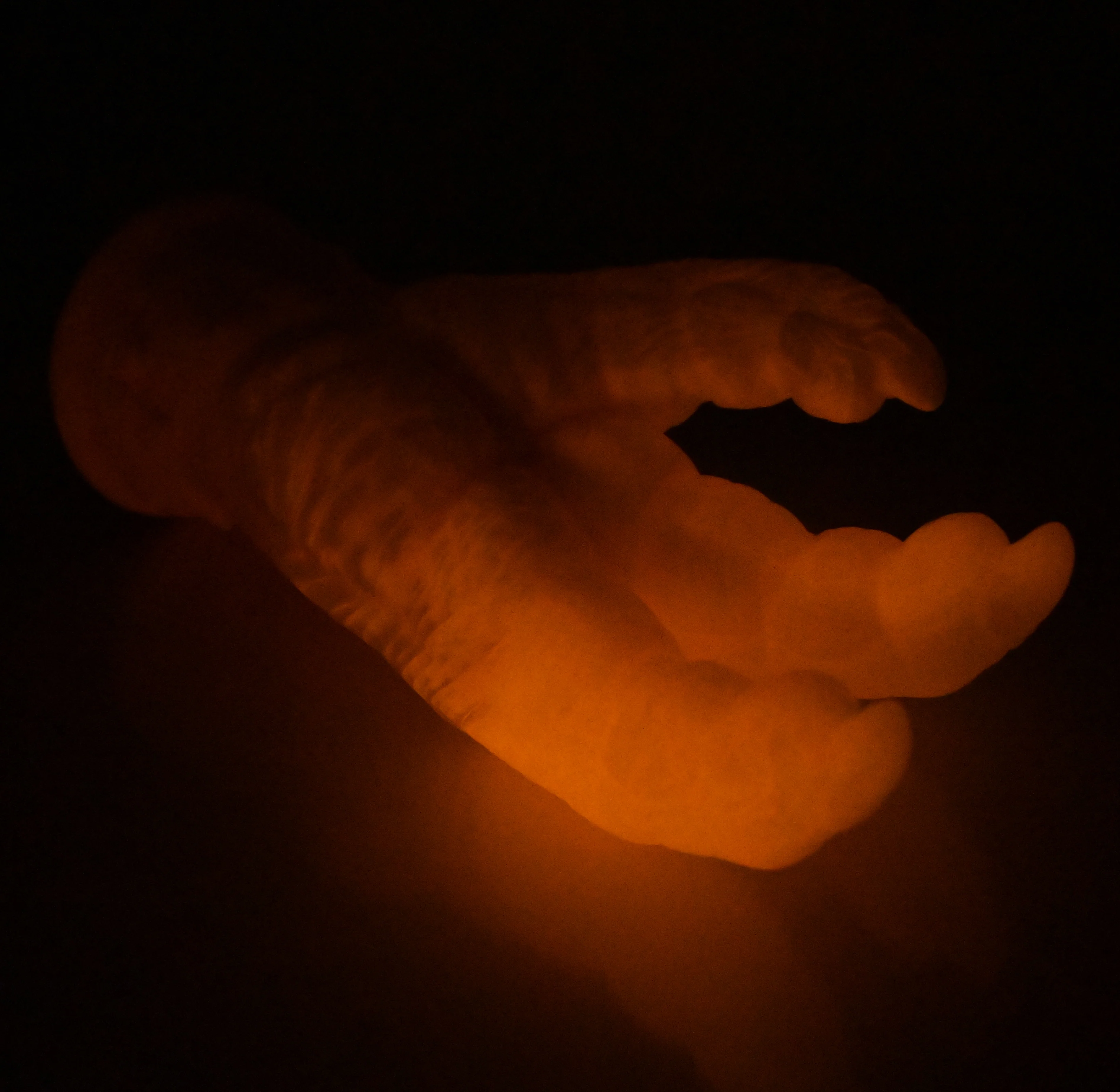 L3SEN54 Altair Medium 0030 UV GITD - Image 4