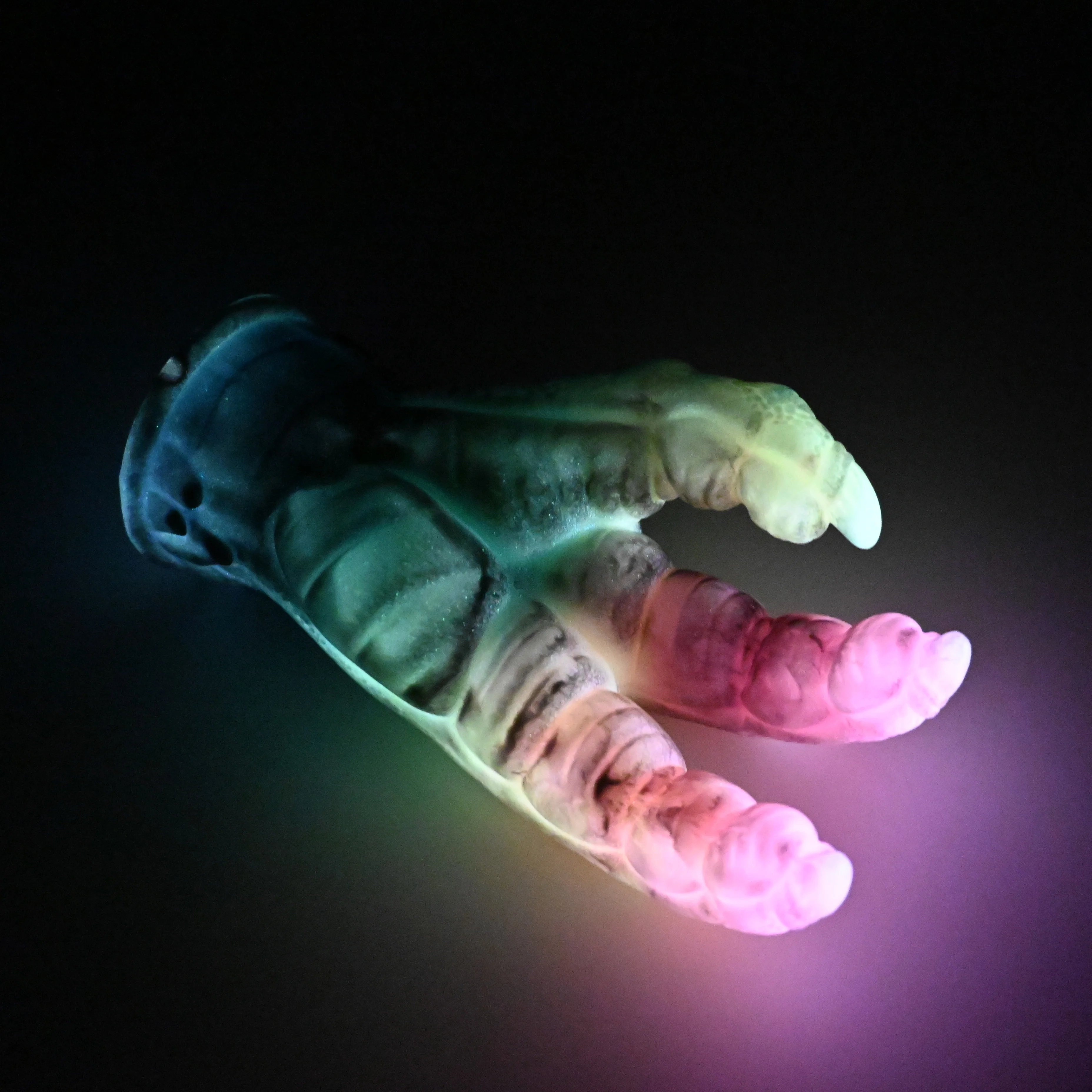 L2SHM53 Altair Small 0030 UV GITD - Image 4