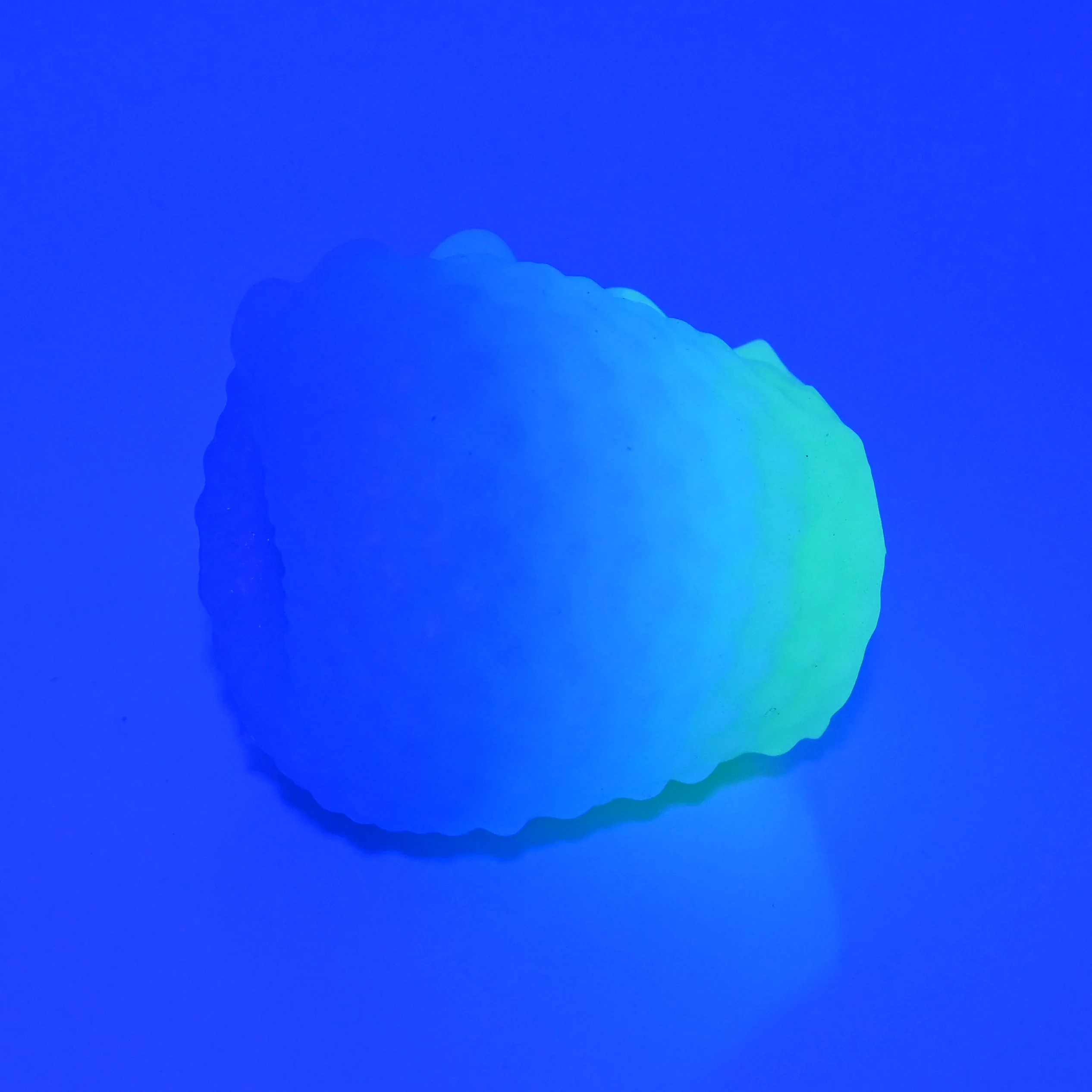 C0XAY50 Jackie O/S Super Soft UV GITD - Image 2