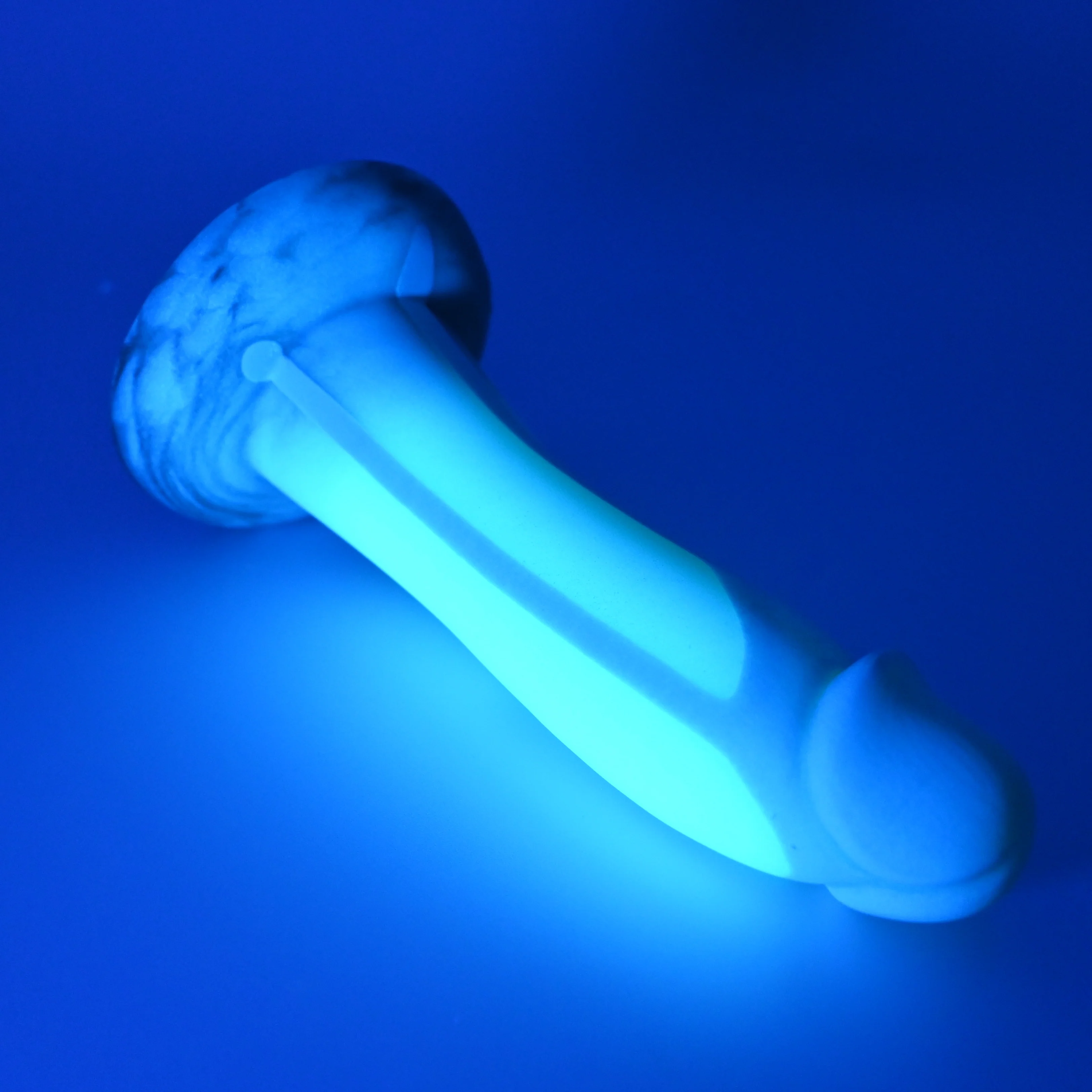 Z2SFV37 Caelus Small 0030 UV GITD - Image 3