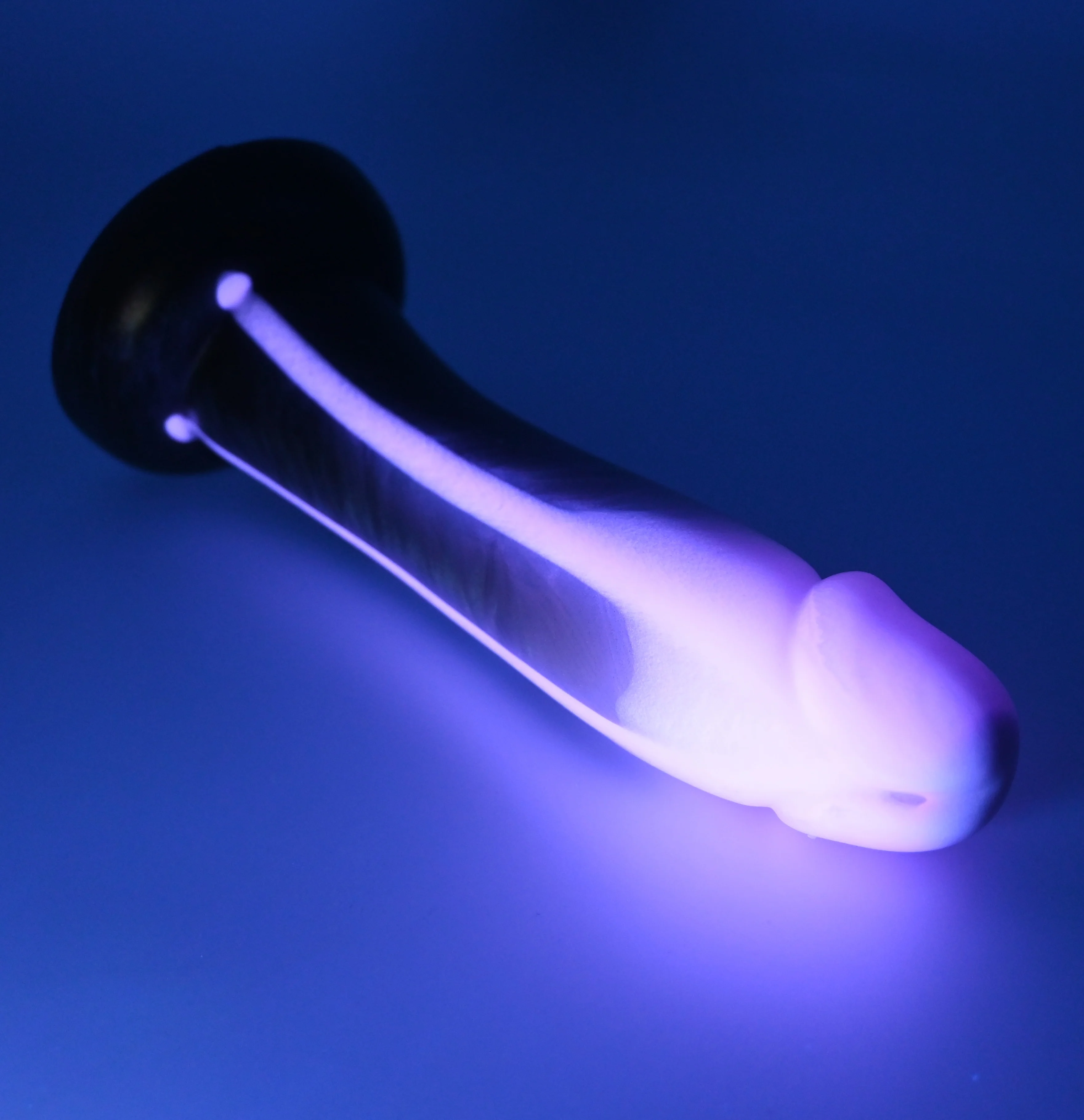 Z2XGR01 Caelus Small 0020 UV GITD CS - Image 3