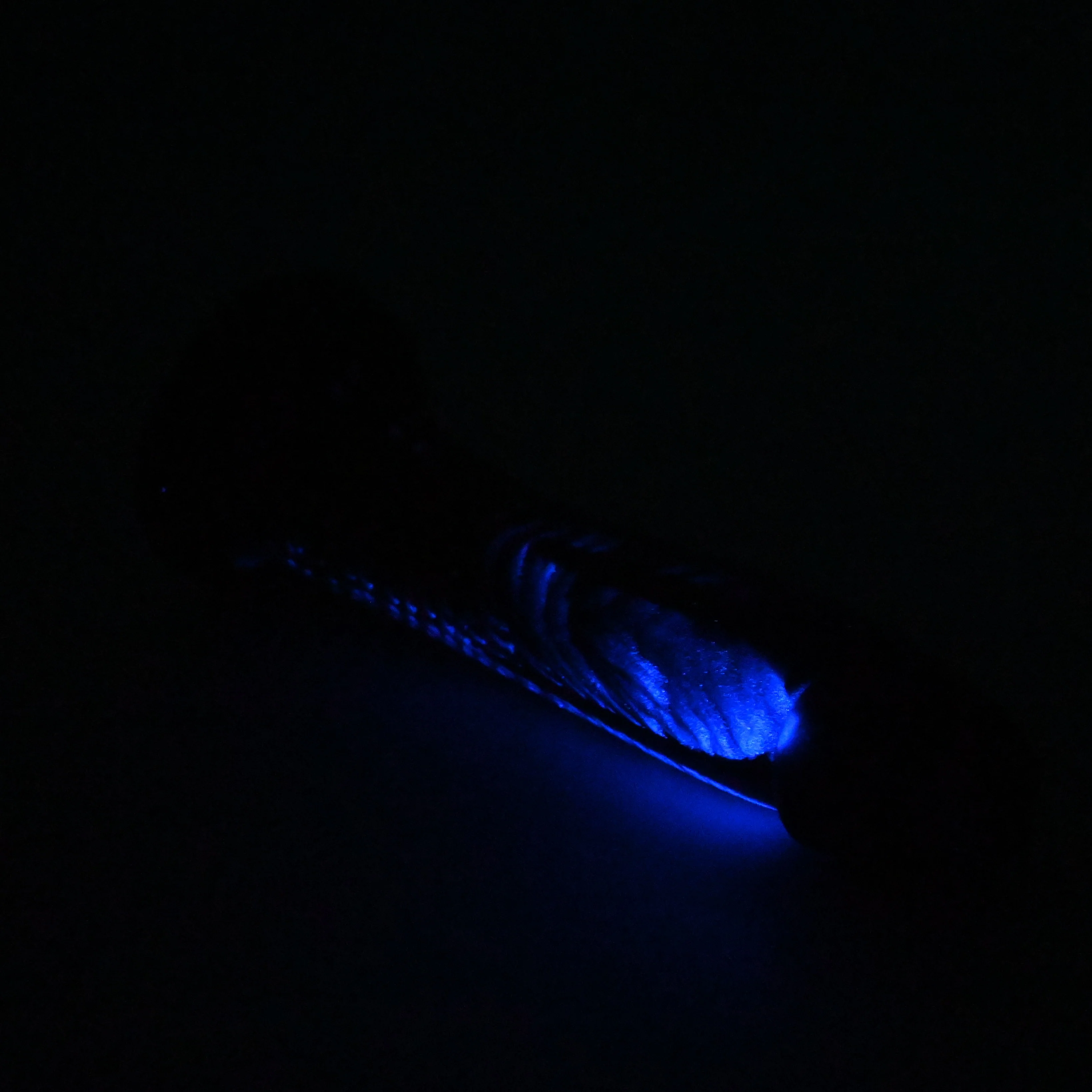 Z2SGS91 Caelus Small 0030 UV GITD CS - Image 4