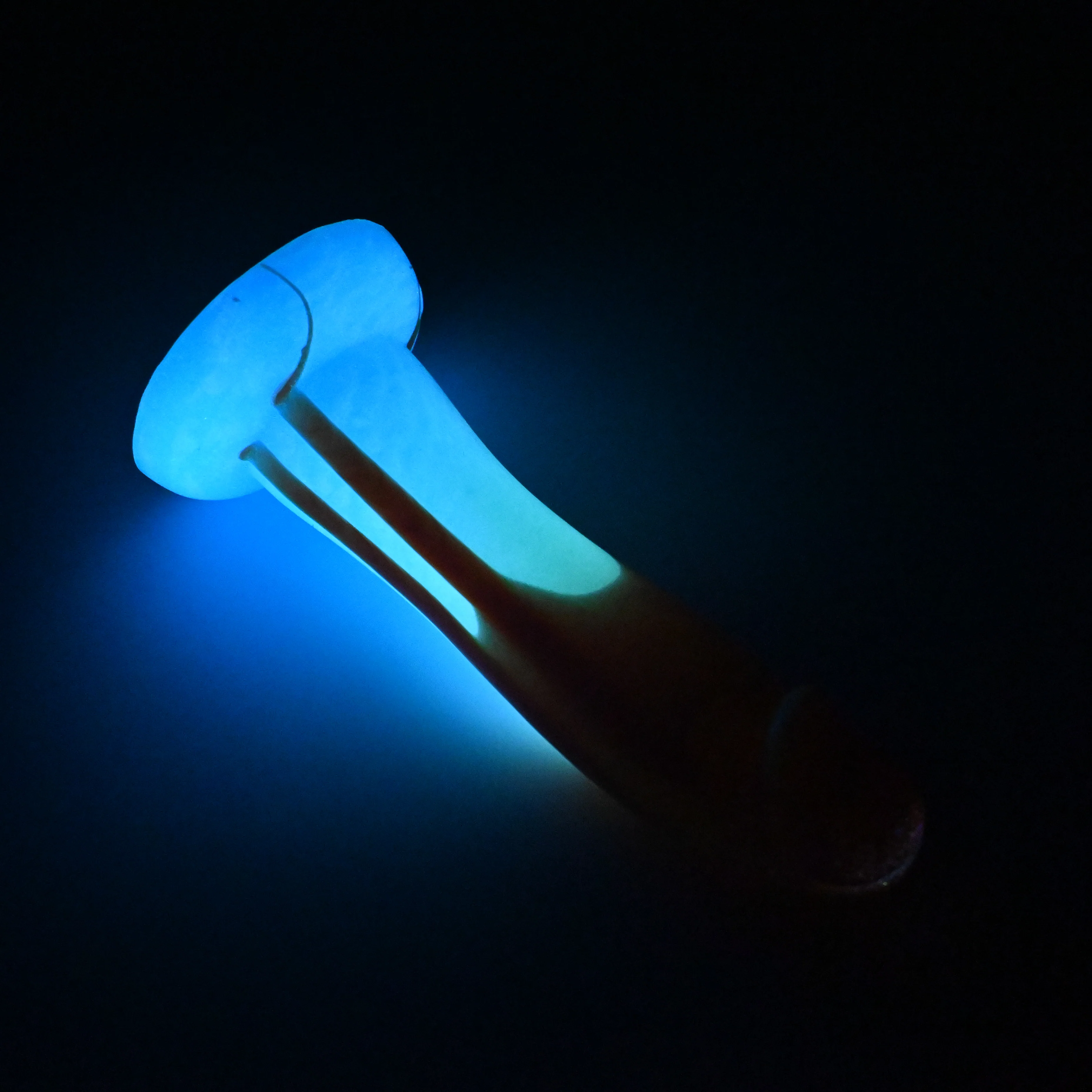 Z2SHG54 Caelus Small 0030 UV GITD - Image 4