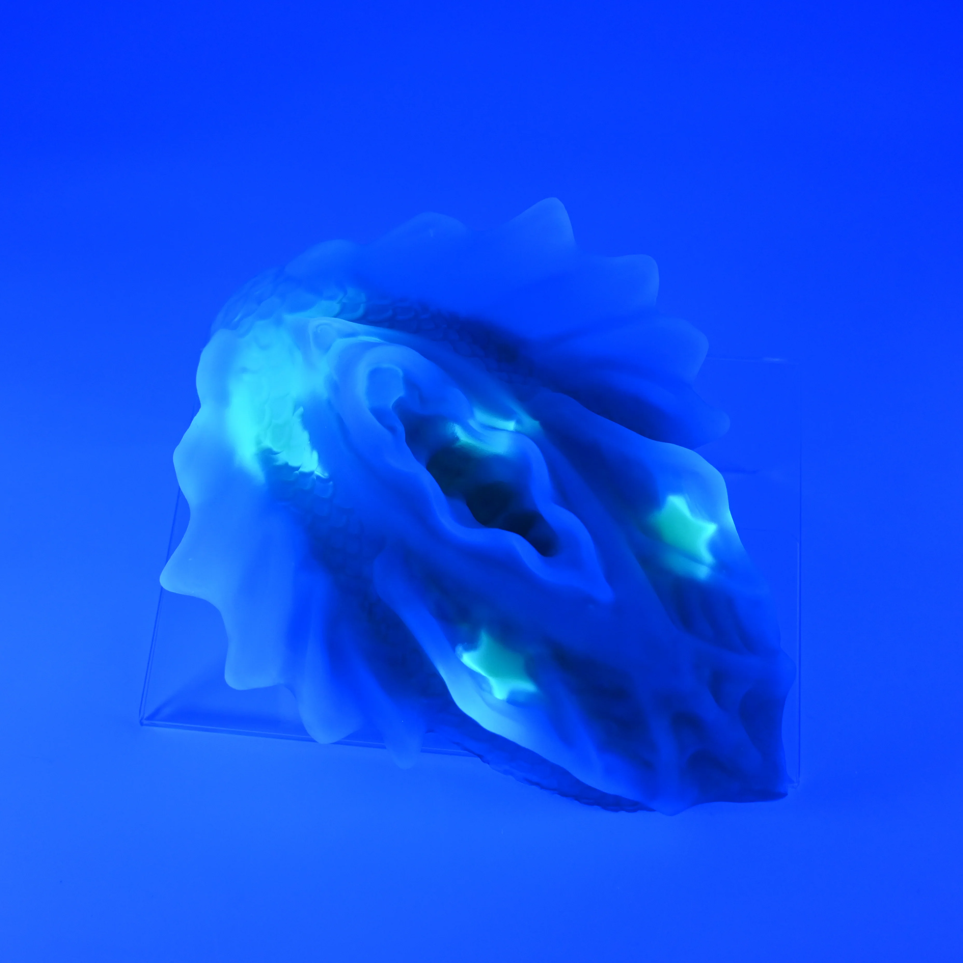 C4TGX98 Calypso Large NC 0031 UV GITD CS - Image 3