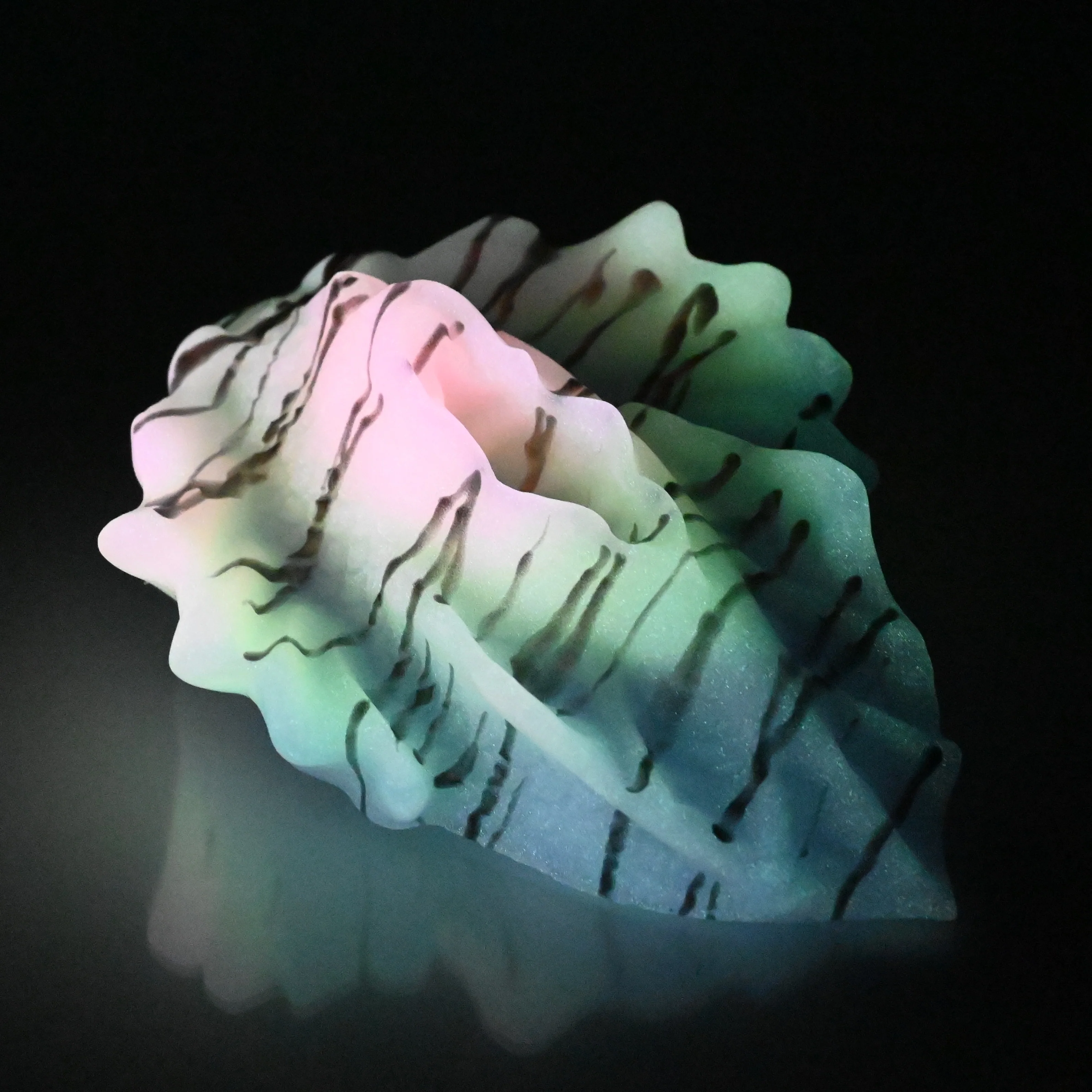 C4SDX85 Calypso Large 0030 UV GITD CS - Image 4