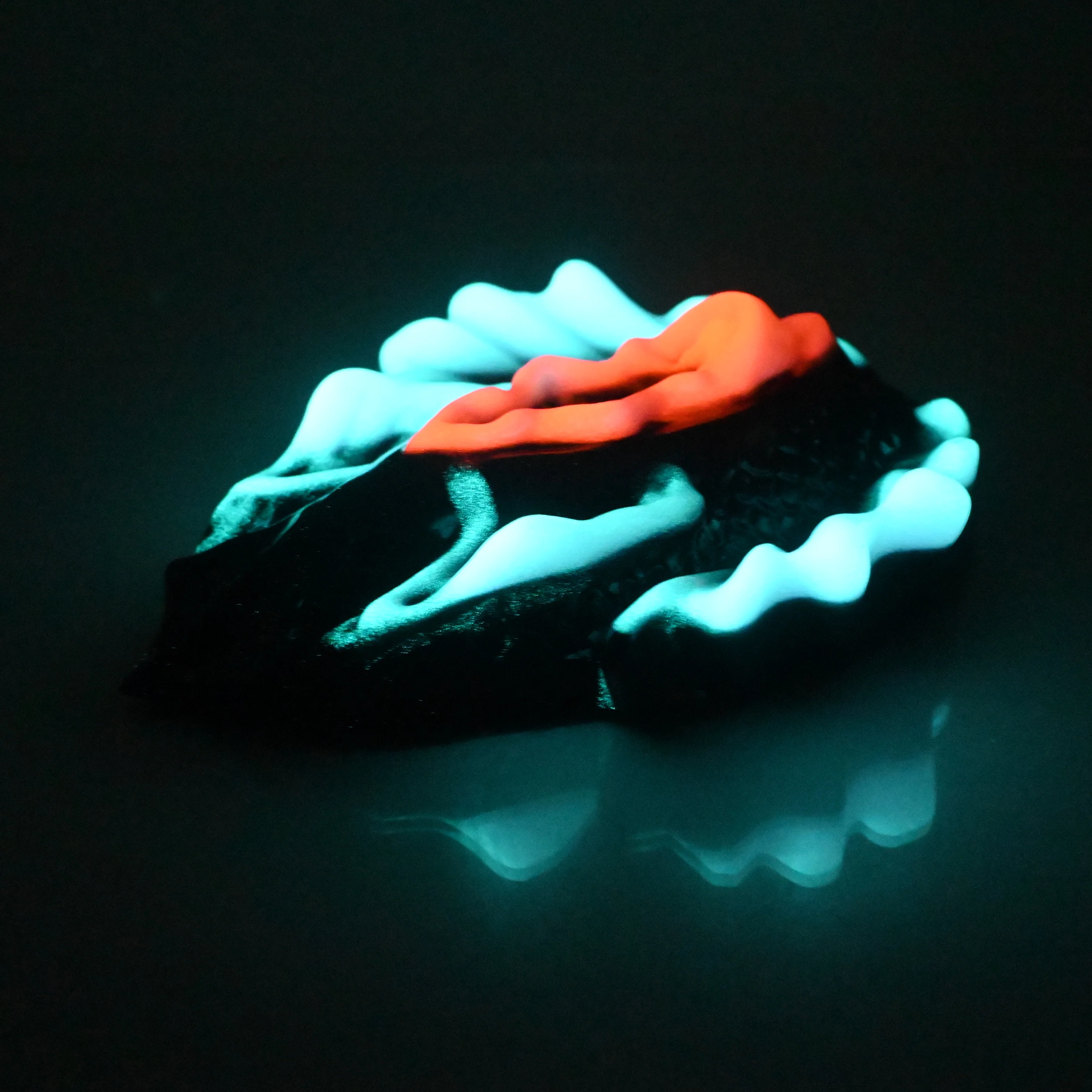 C4WCT57 Calypso Large 0030/0020 UV GITD - Image 4