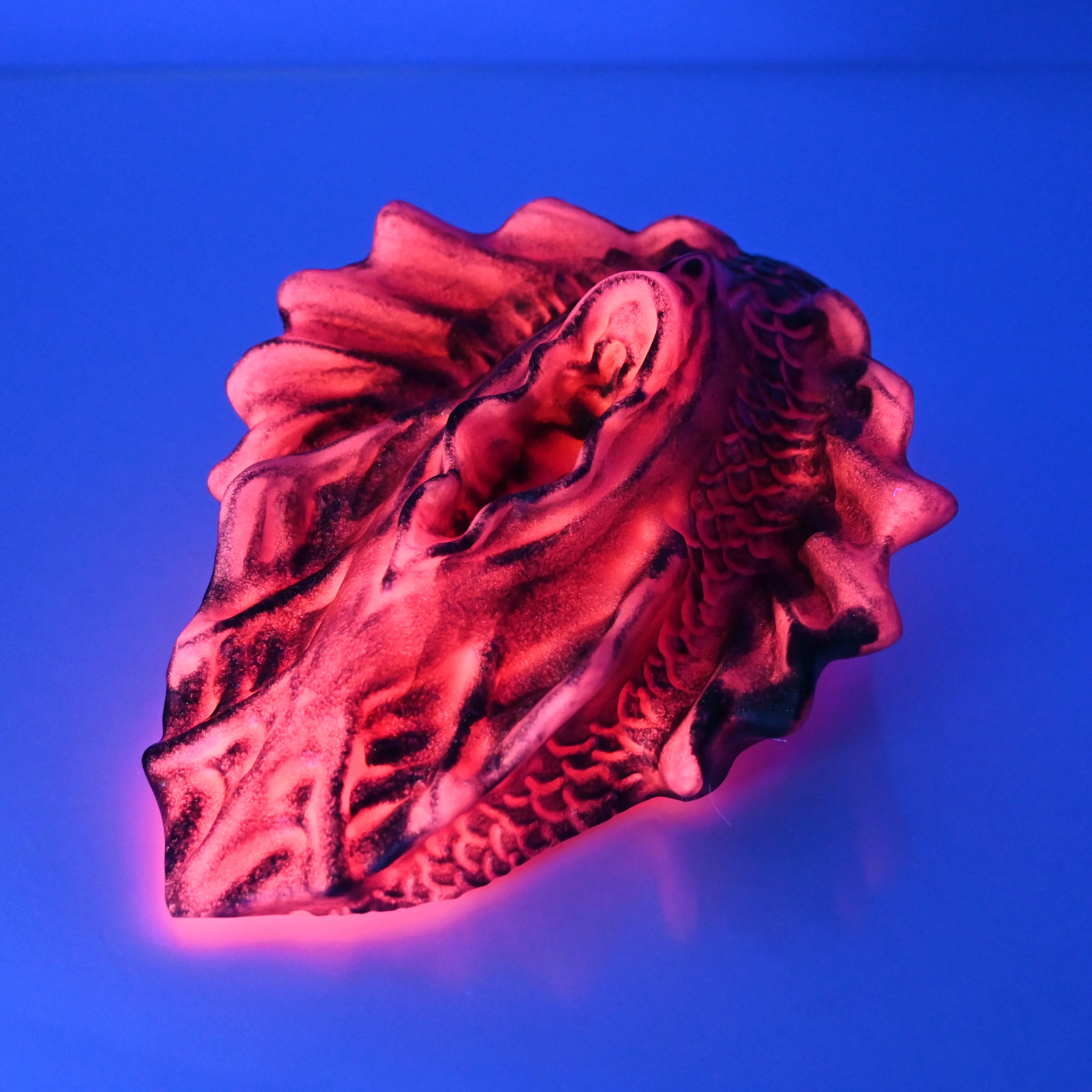 C4SEQ28 Calypso Large 0030 UV GITD - Image 3