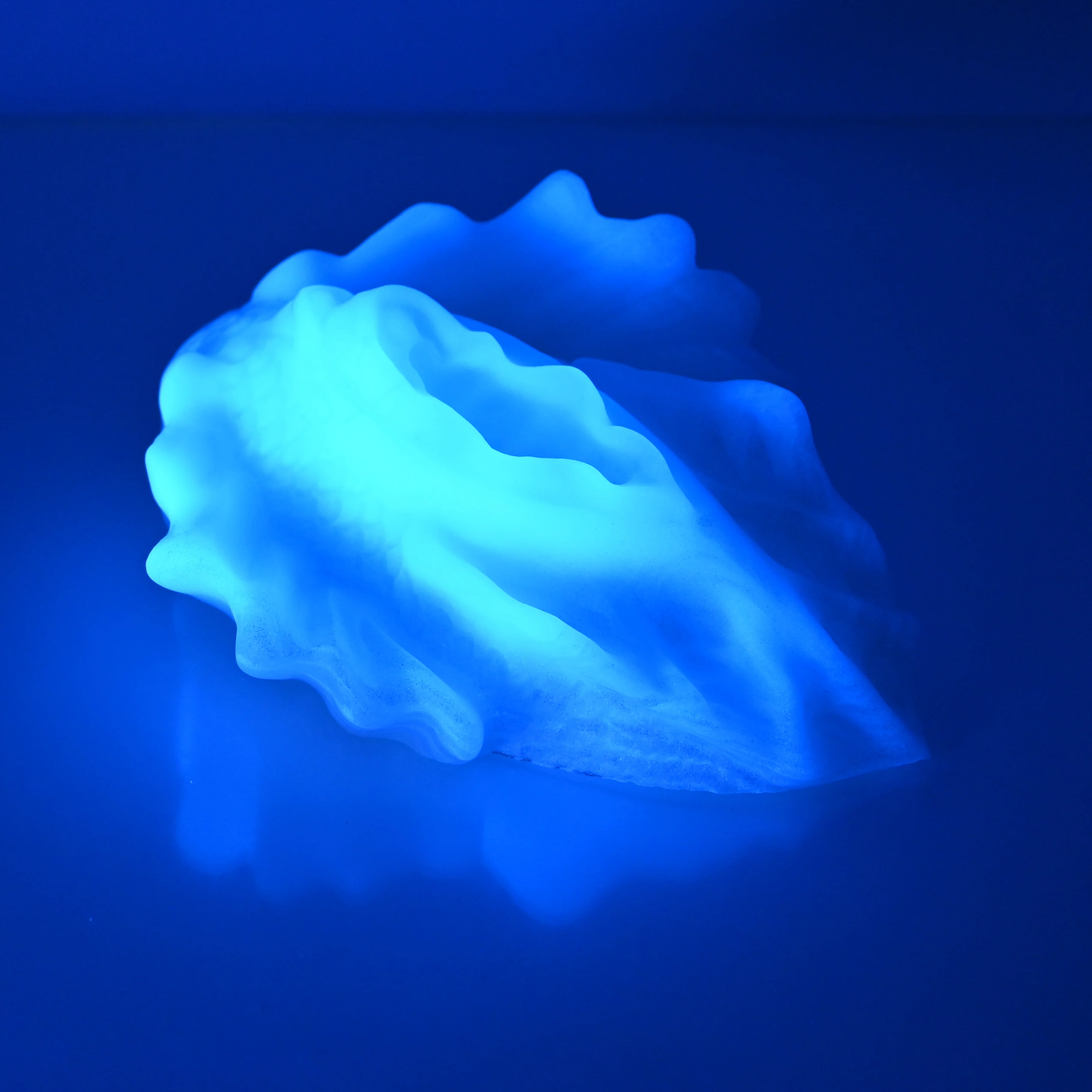 C4SFA07 Calypso Large 0030 UV GITD - Image 3
