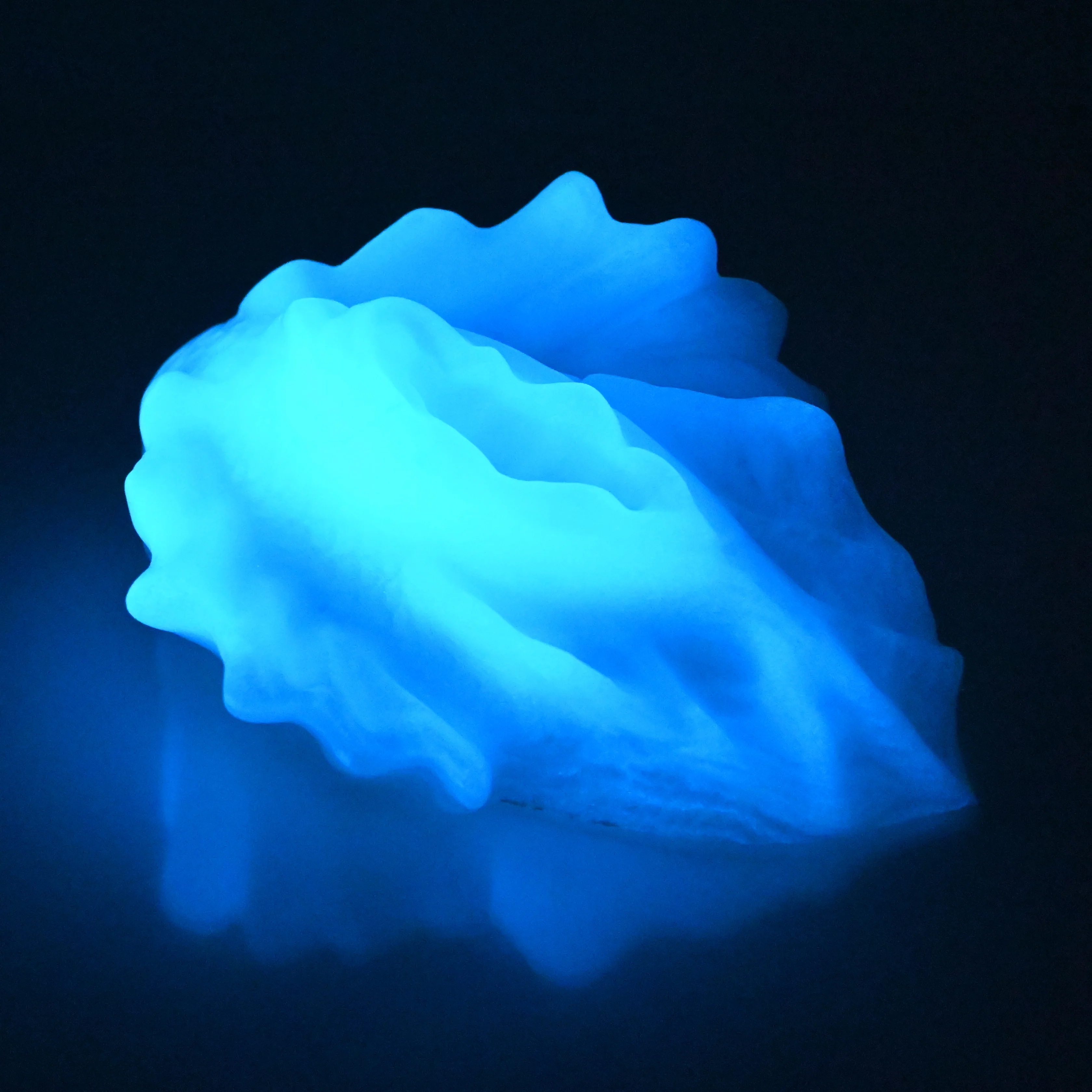C4SFA07 Calypso Large 0030 UV GITD - Image 4