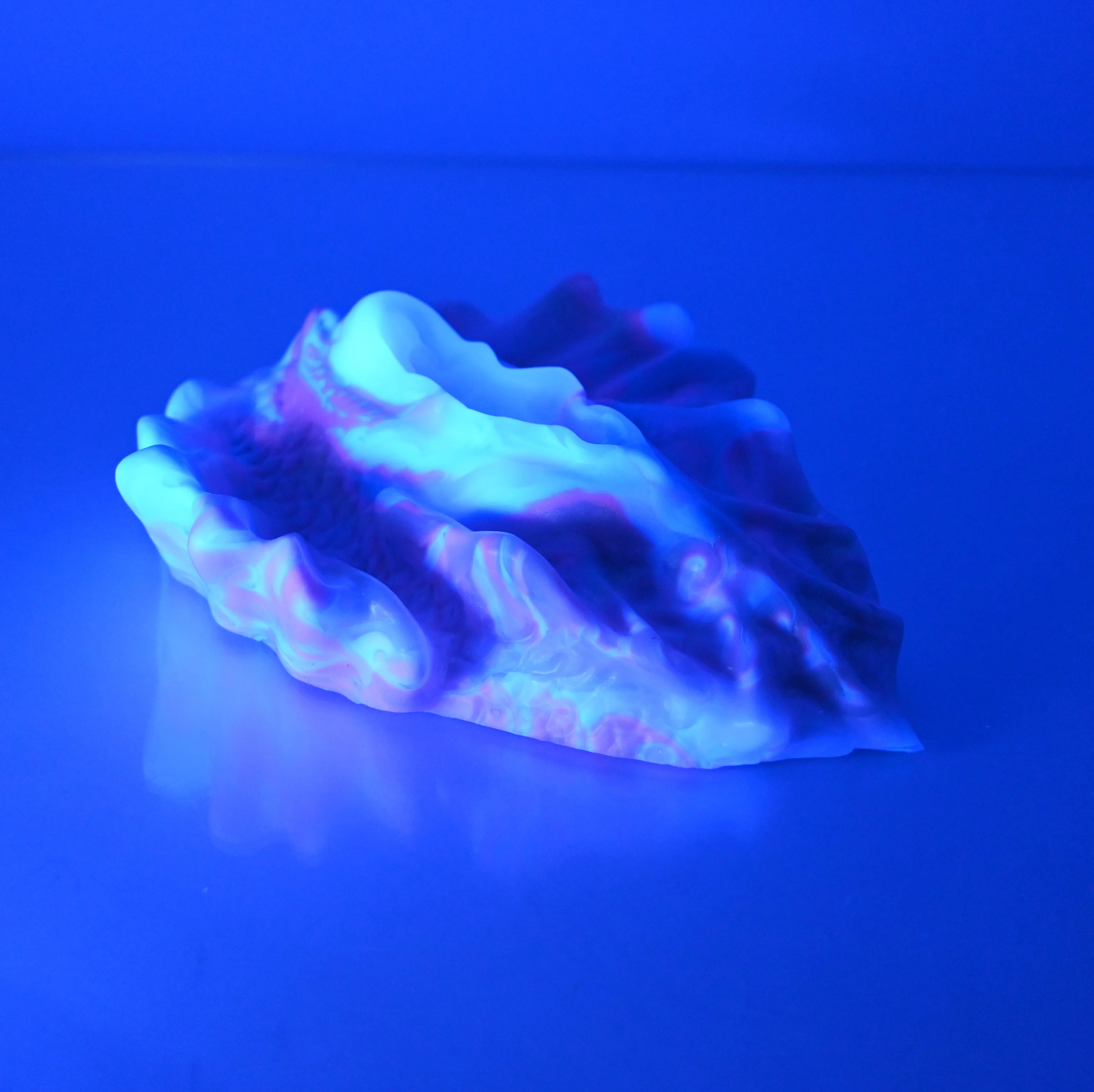 C4MCT61 Calypso Large 0050 UV - Image 4