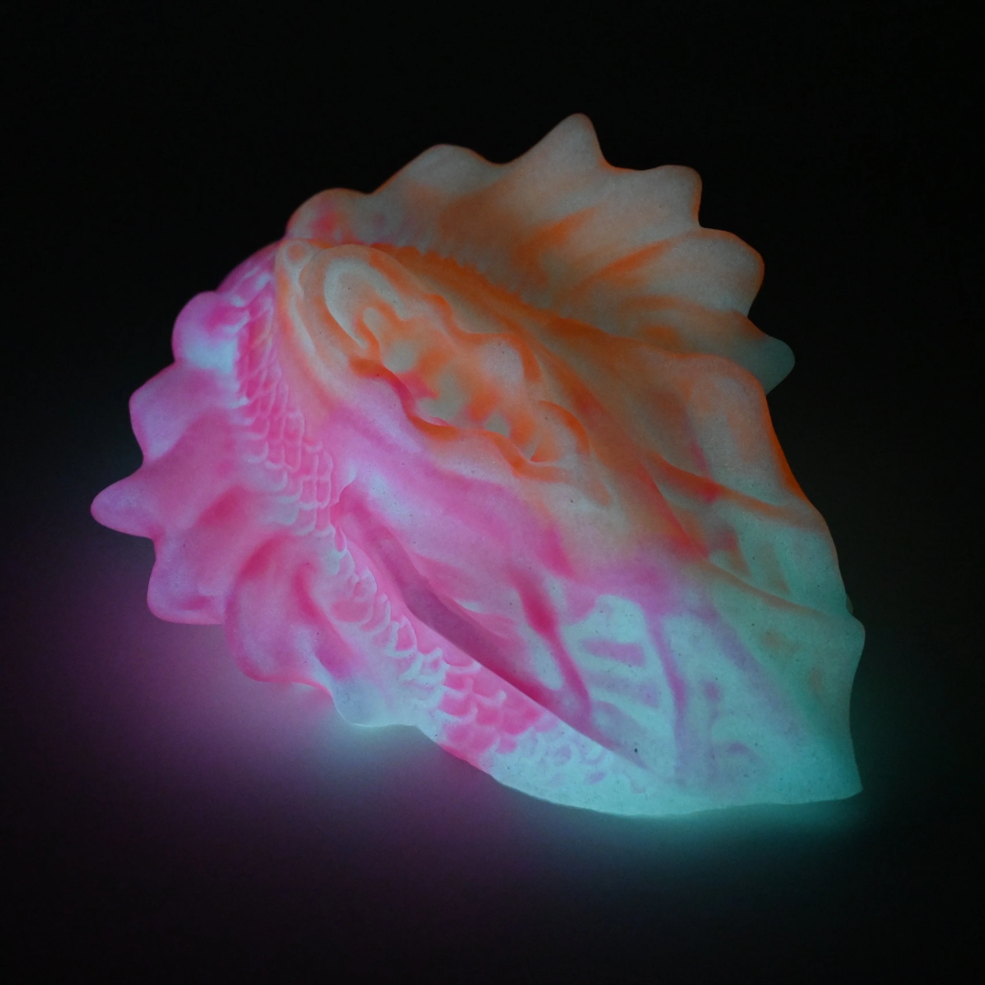 C4SFL82 Calypso Large 0030 UV GITD - Image 4
