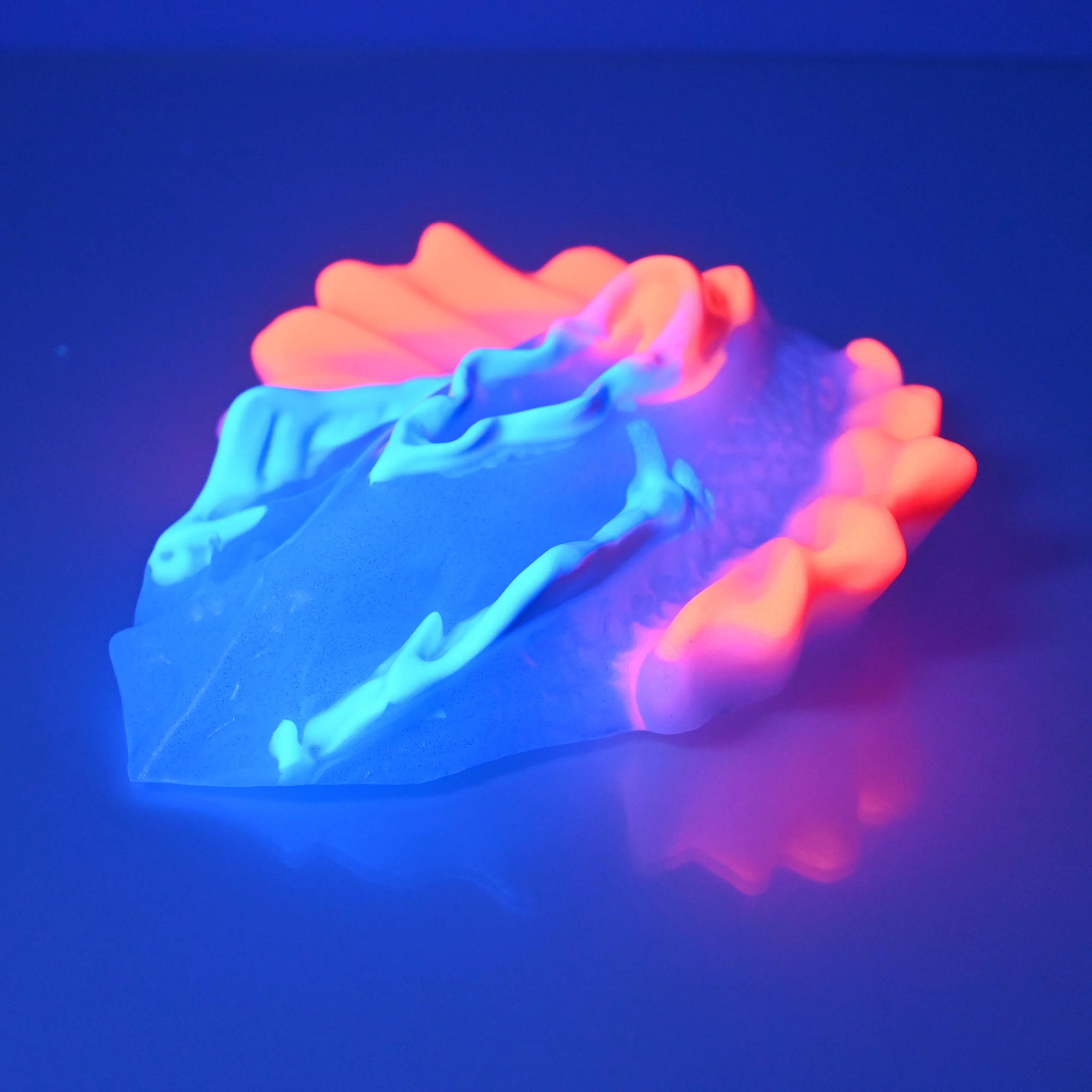 C4WCU77 Calypso Large 0030/0020 UV GITD - Image 3
