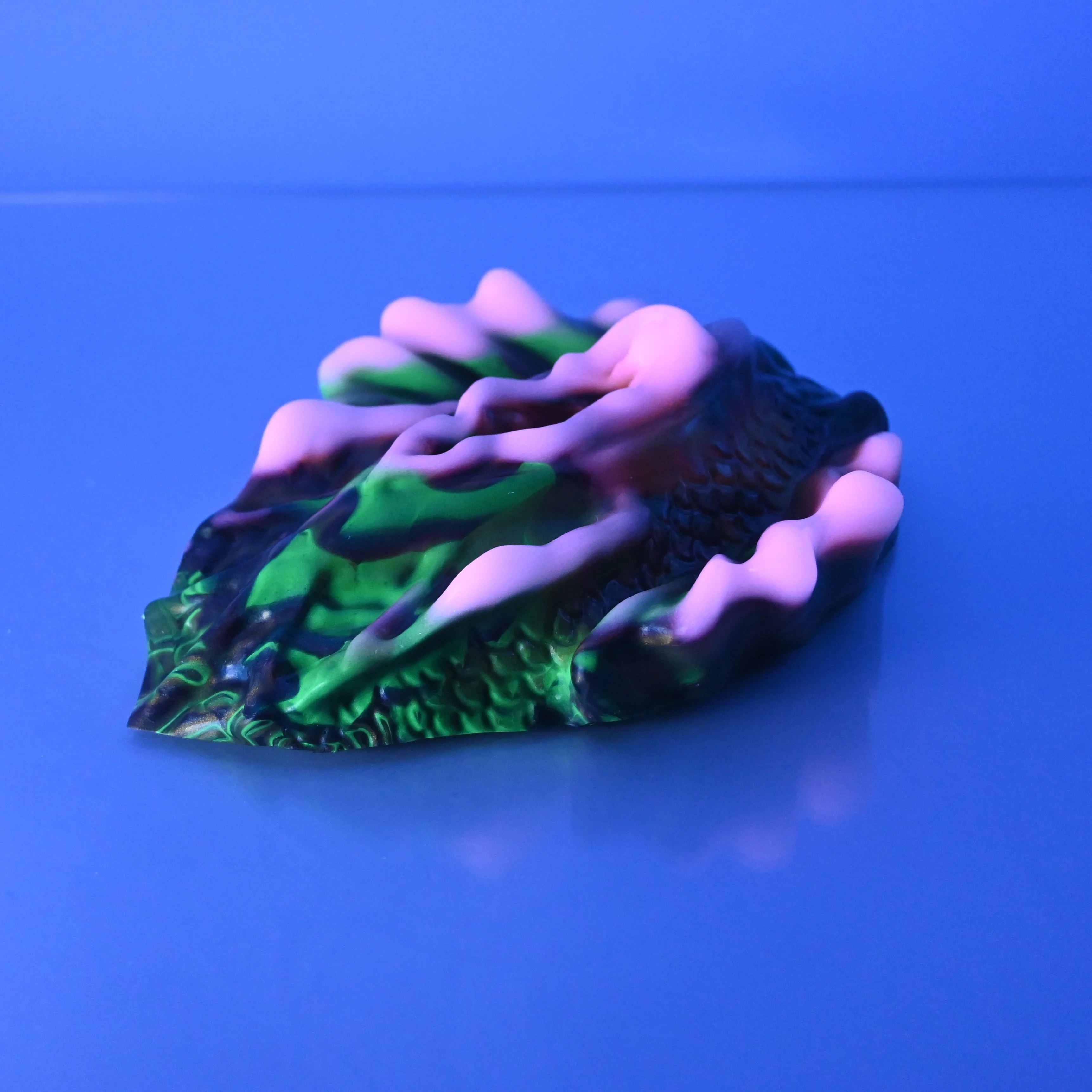 C4MCS38 Calypso Large 0050 UV GITD - Image 3