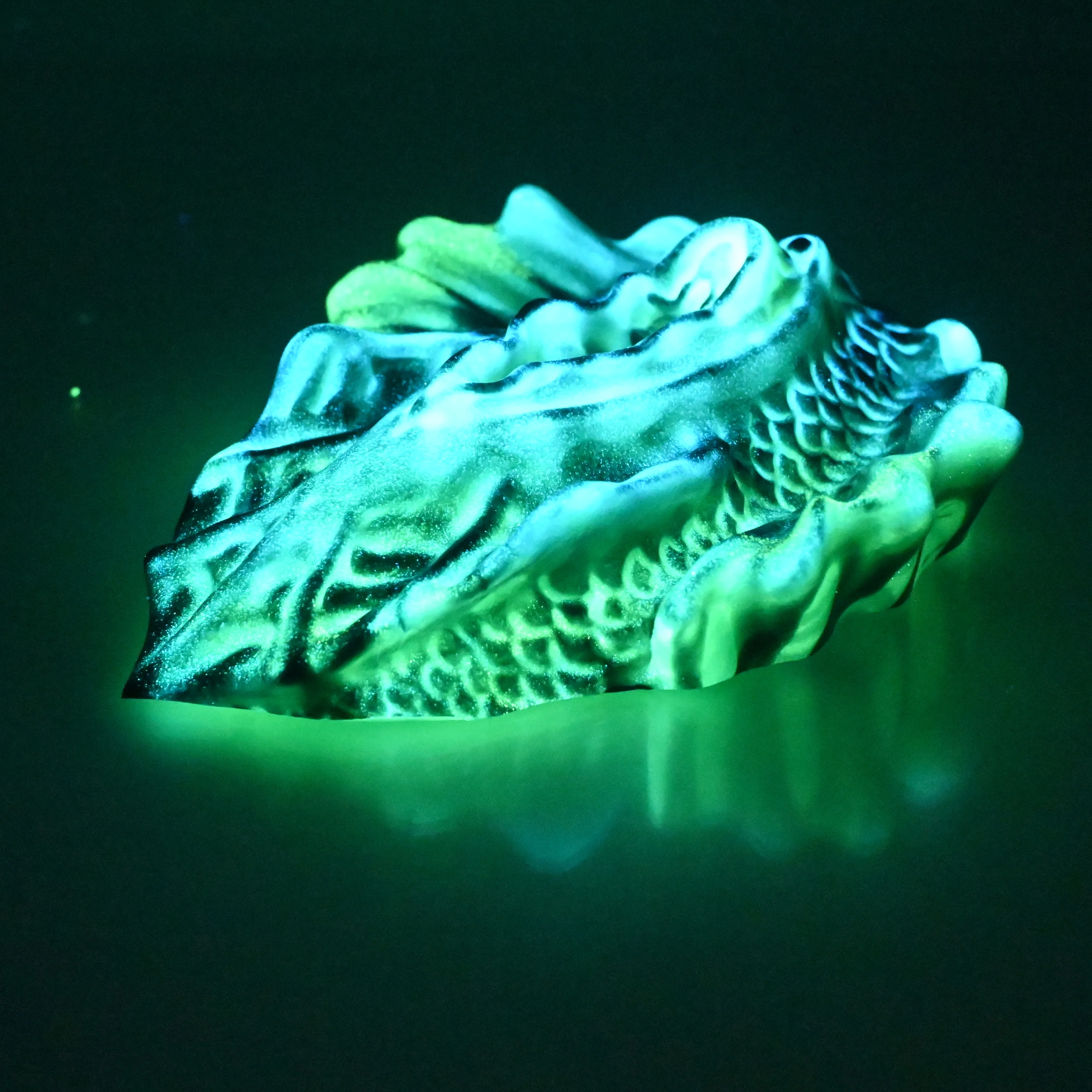 C4XCU76 Calypso Large 0020 UV GITD - Image 4