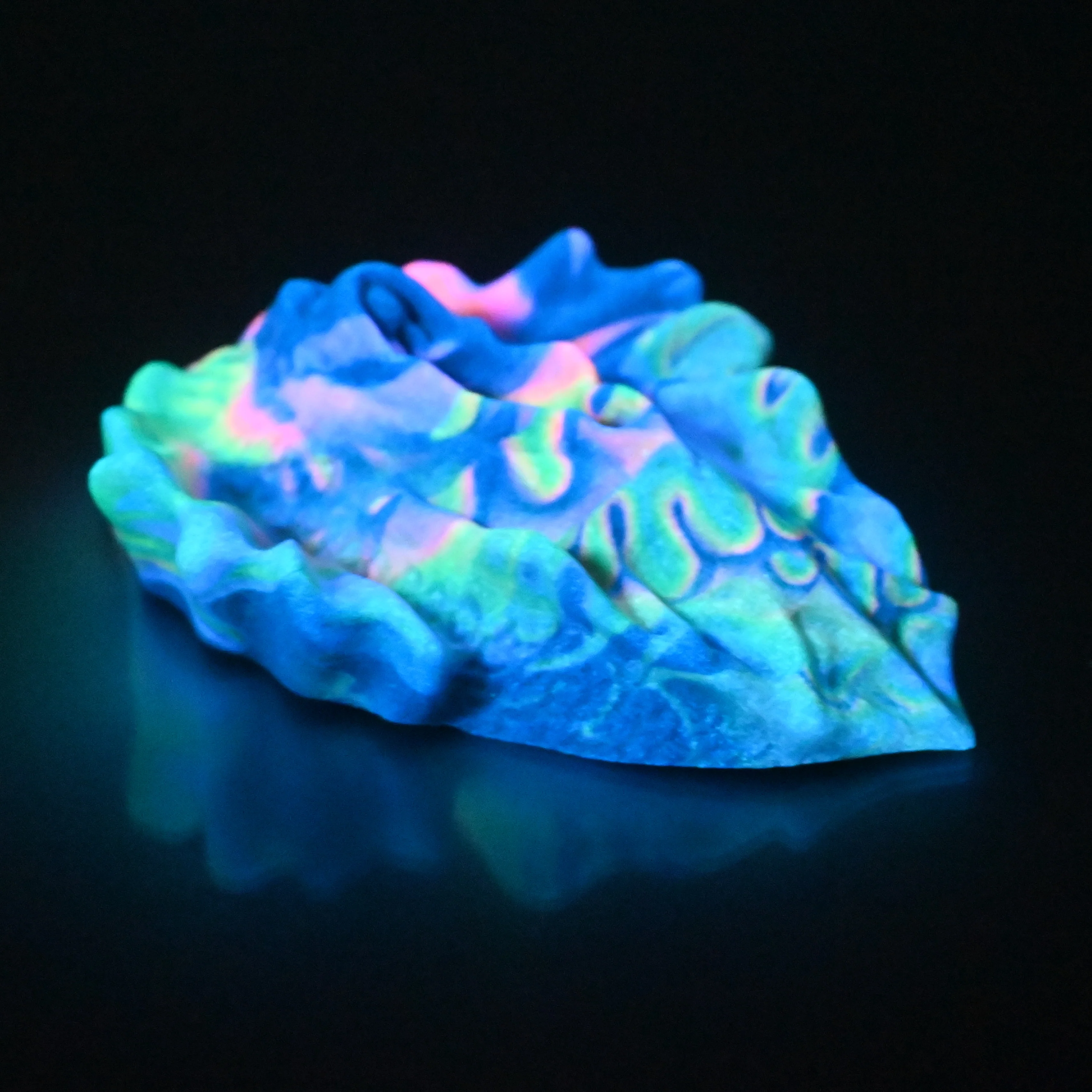 C4SCX34 Calypso Large 0030 UV GITD - Image 4