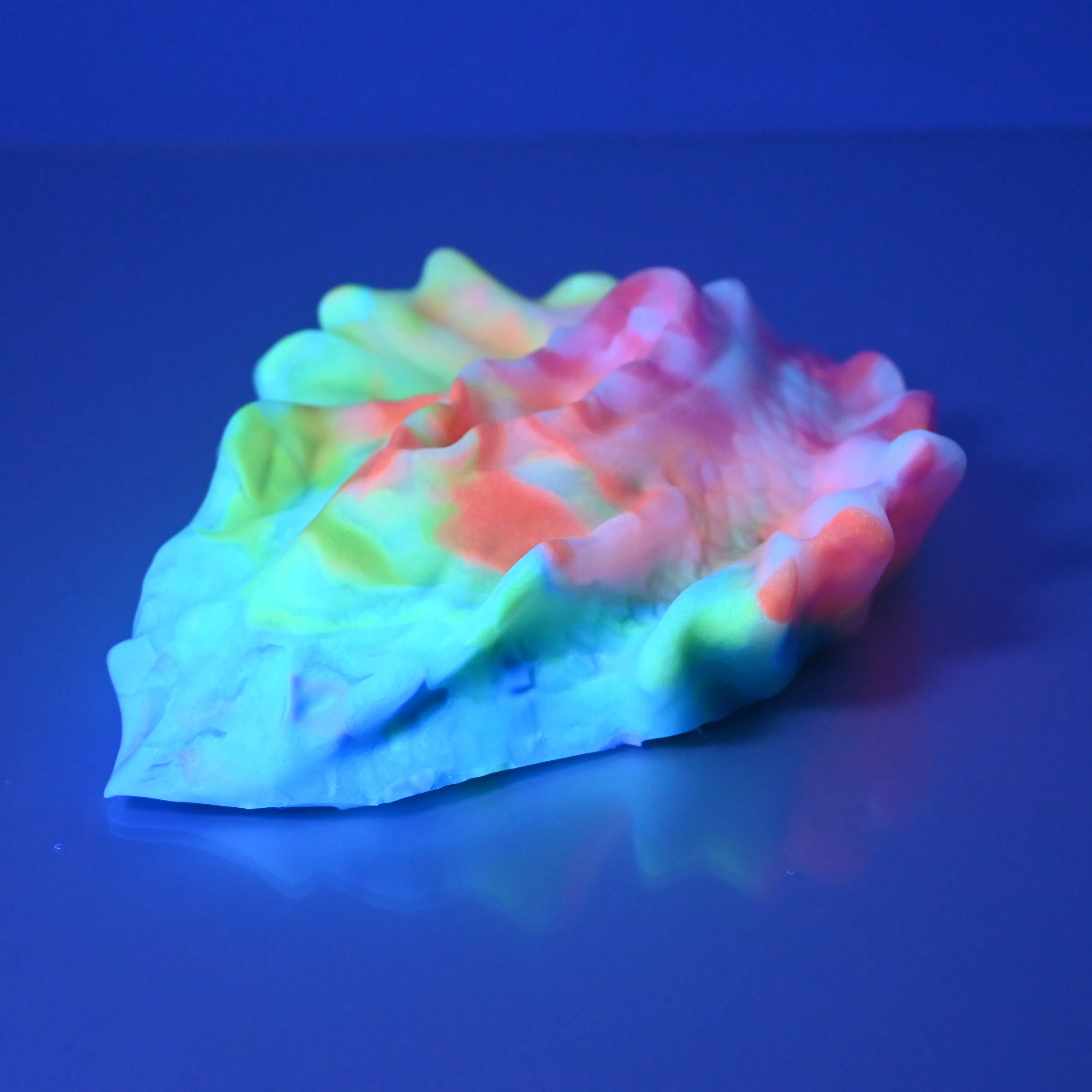 C4SCX33 Calypso Large 0030 UV GITD - Image 3