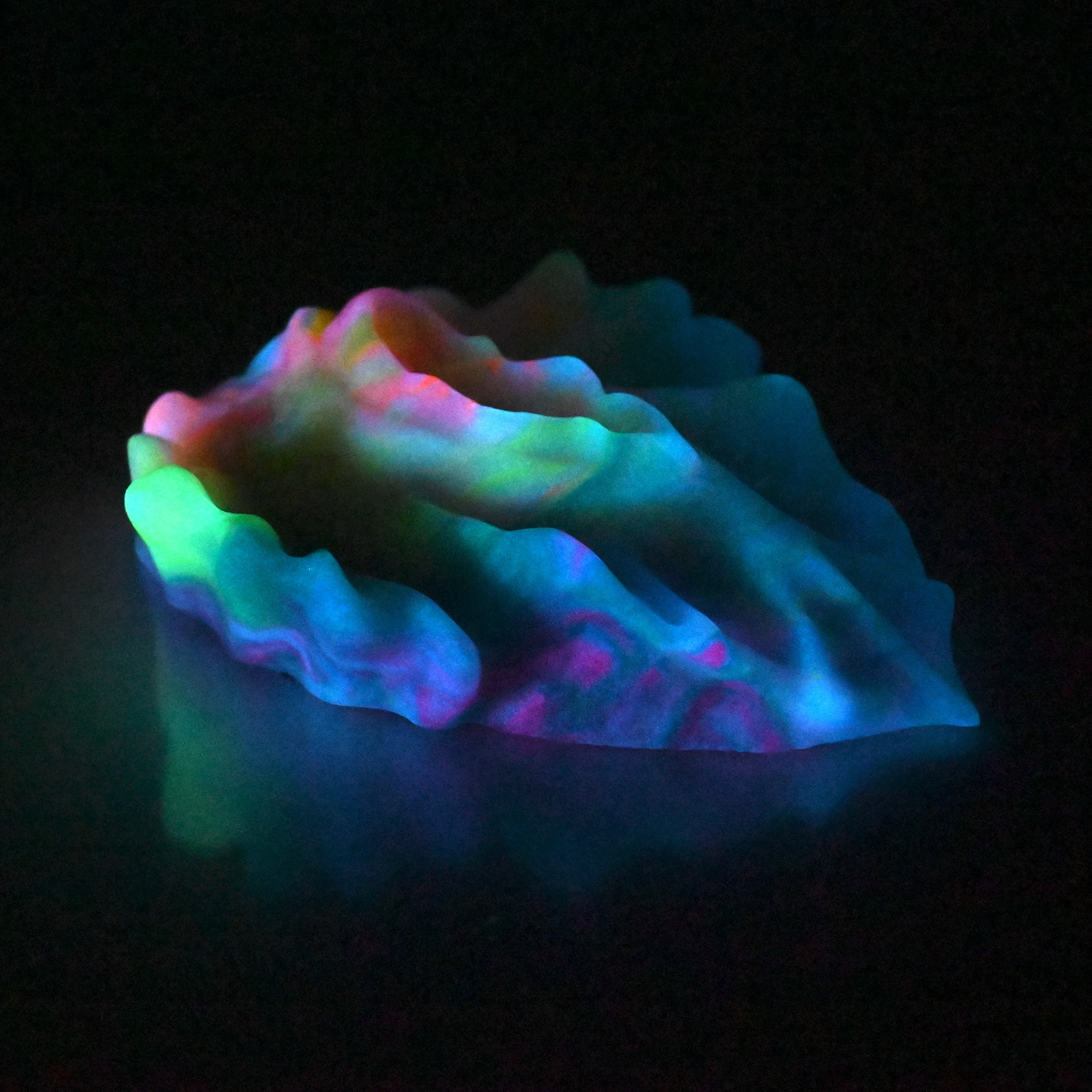 C4MCY83 Calypso Large 0050 UV GITD - Image 4