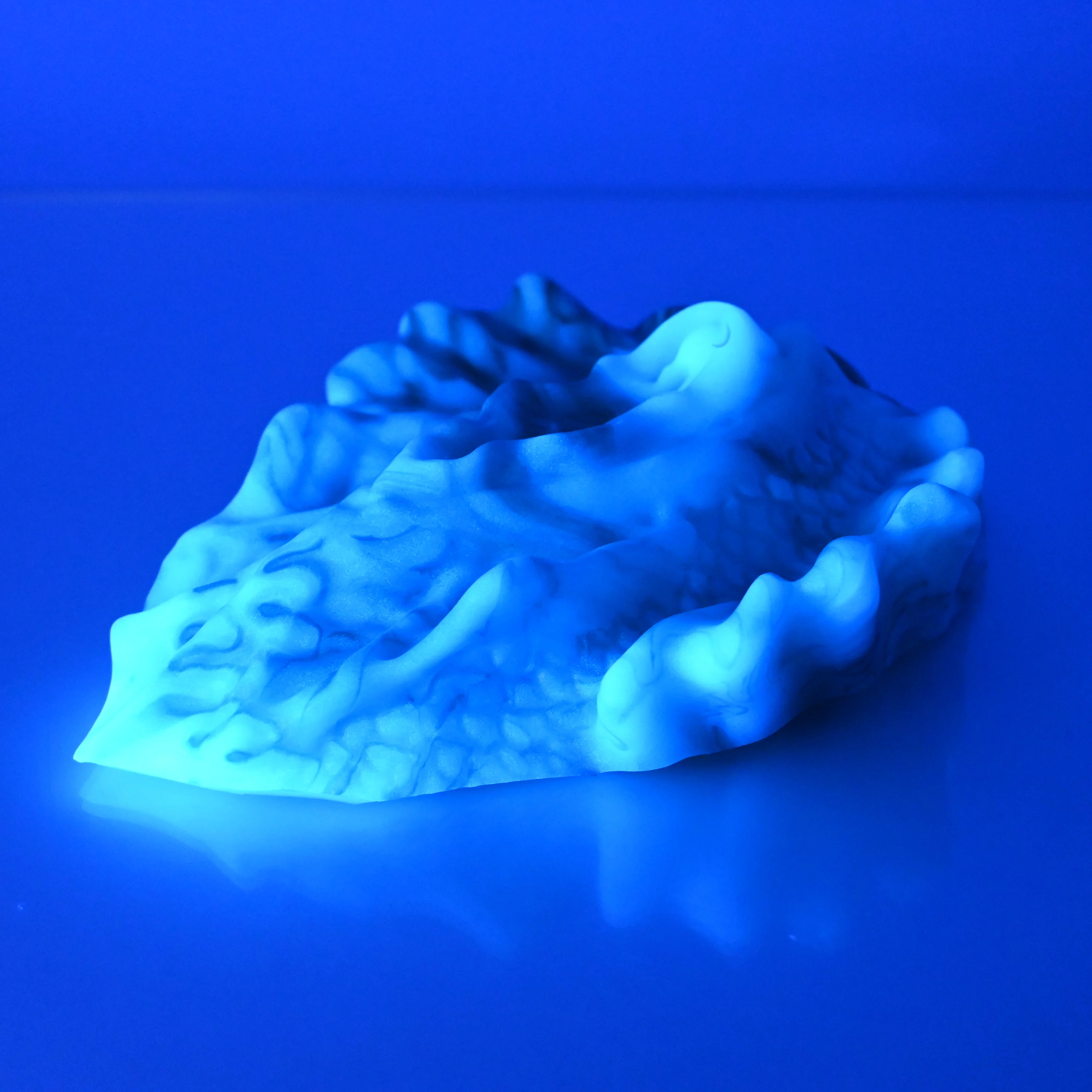 C4SDA22 Calypso Large 0030 UV GITD - Image 3