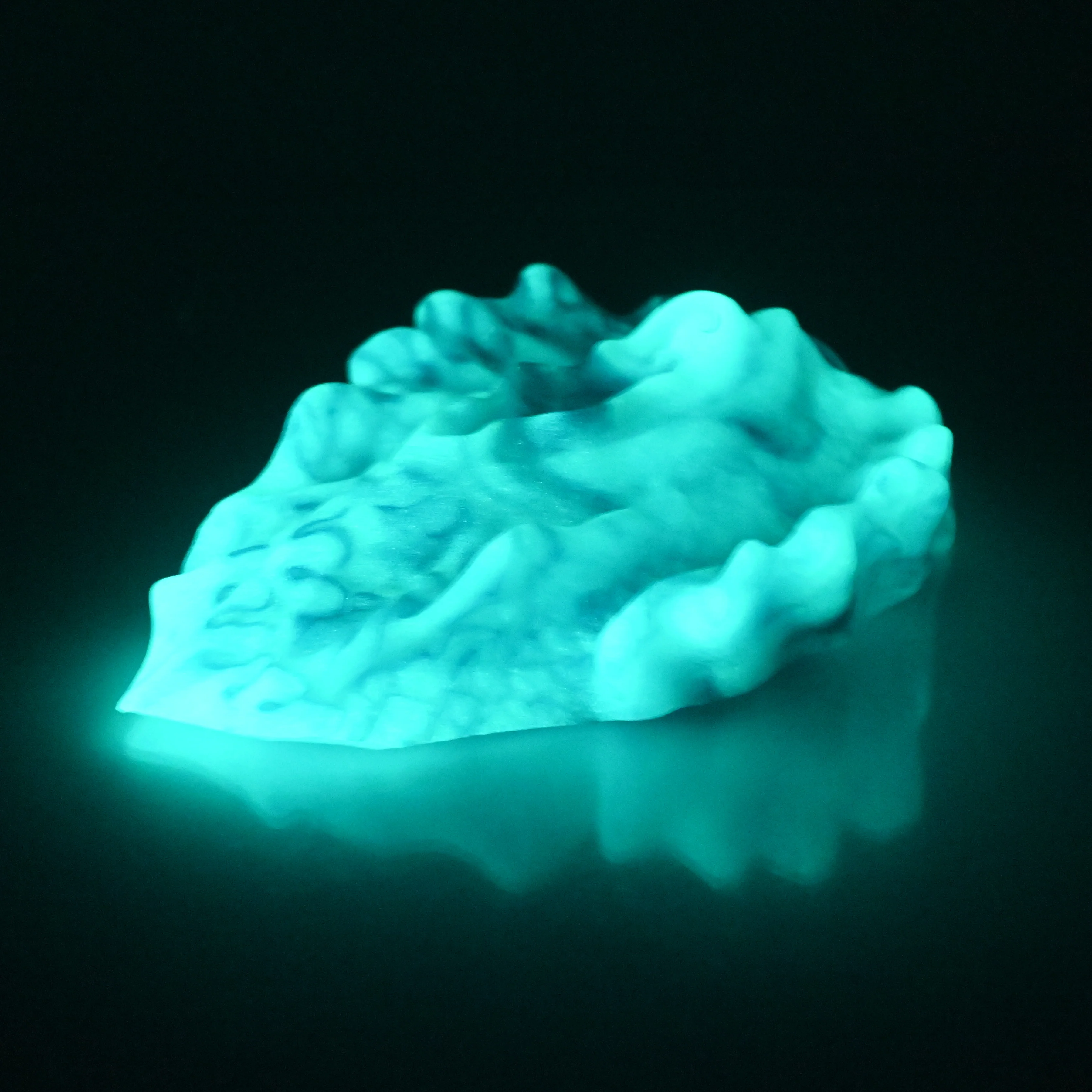 C4SDA22 Calypso Large 0030 UV GITD - Image 4
