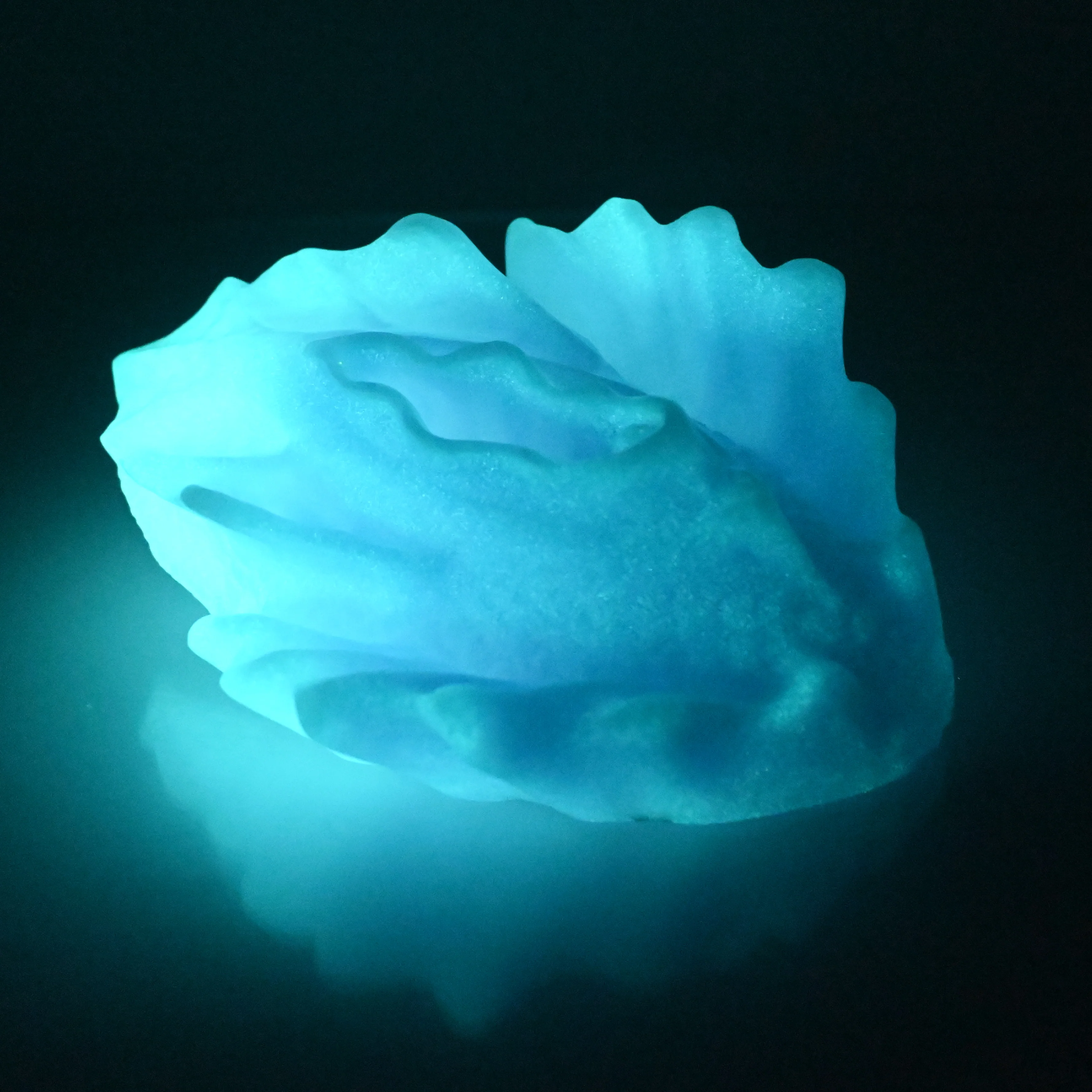 C4SDA25 Calypso Large 0030 CS UV GITD - Image 4