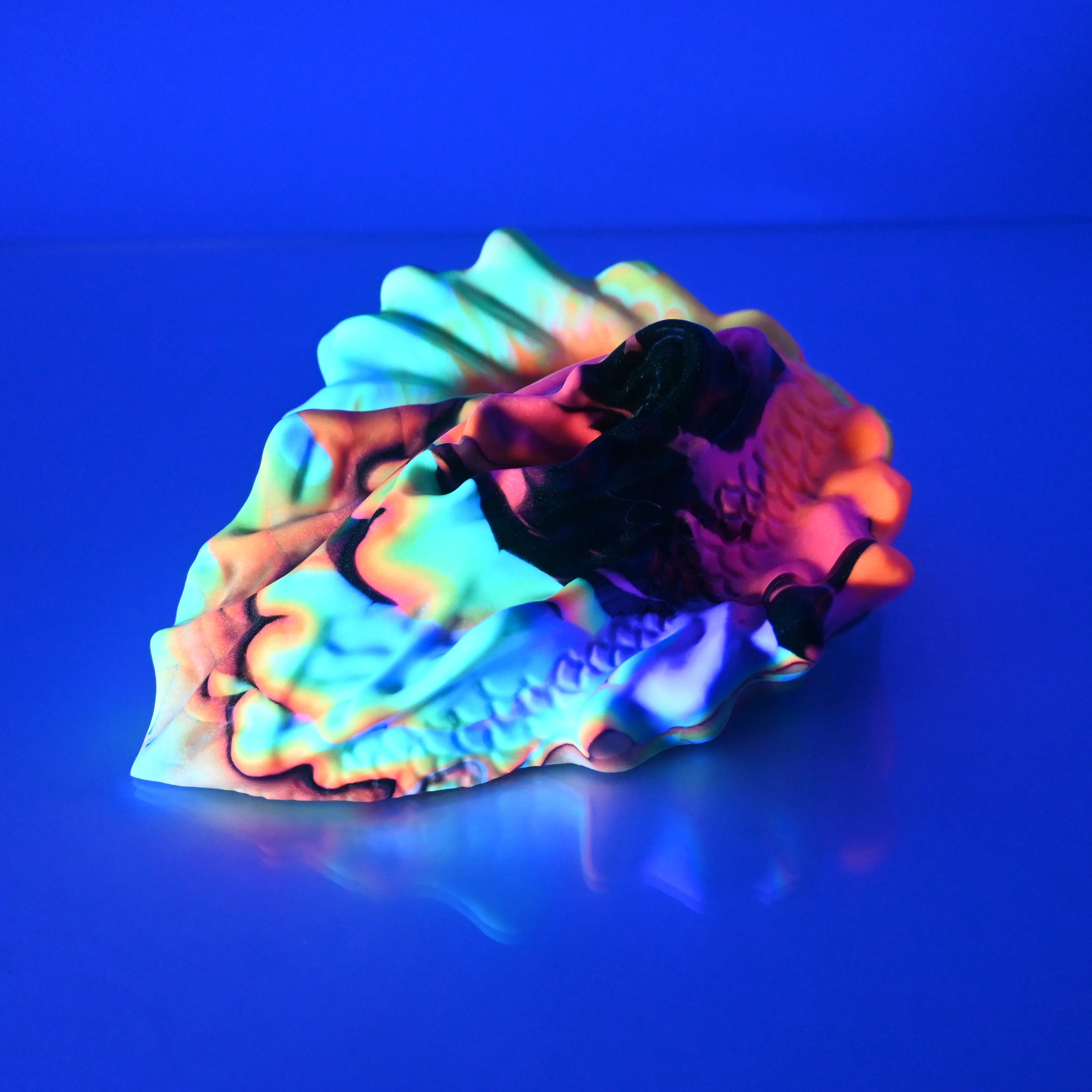 C4SDD98 Calypso Large 0030 UV GITD - Image 3