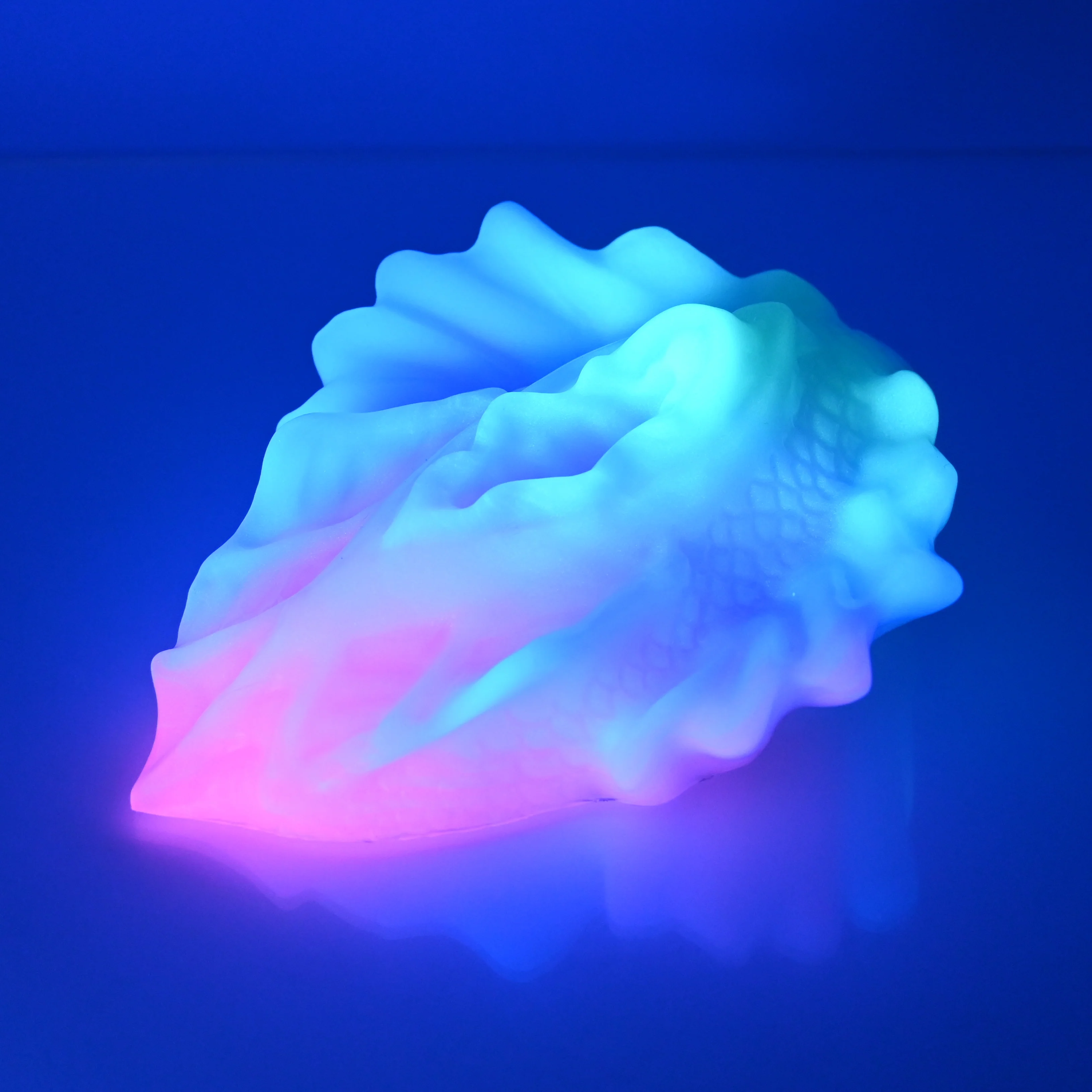 C4MDF52 Calypso Large 0050 UV GITD - Image 3