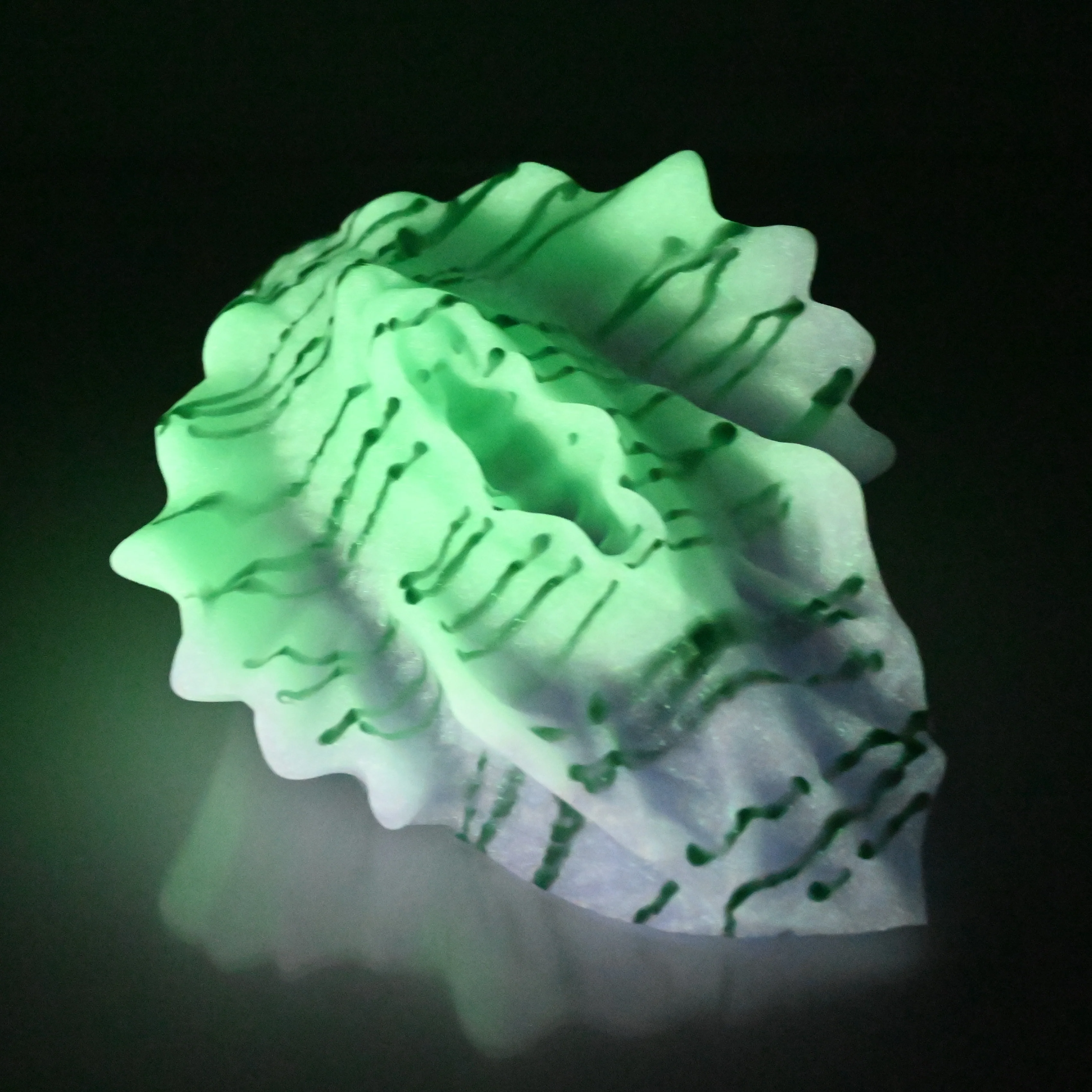 C4MDU82 Calypso Large 0050 UV GITD - Image 4