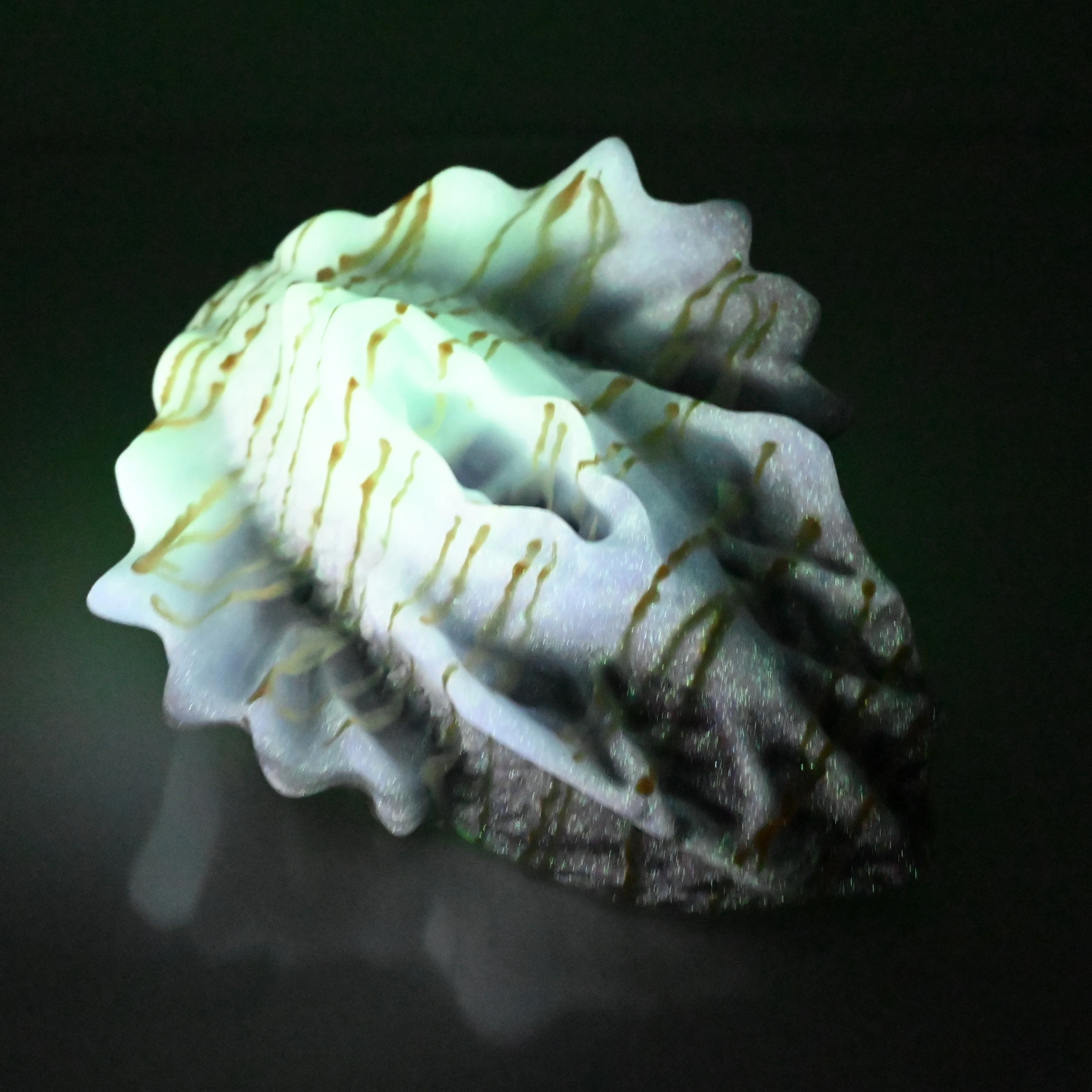 C4MDU76 Calypso Large 0050 UV GITD - Image 4