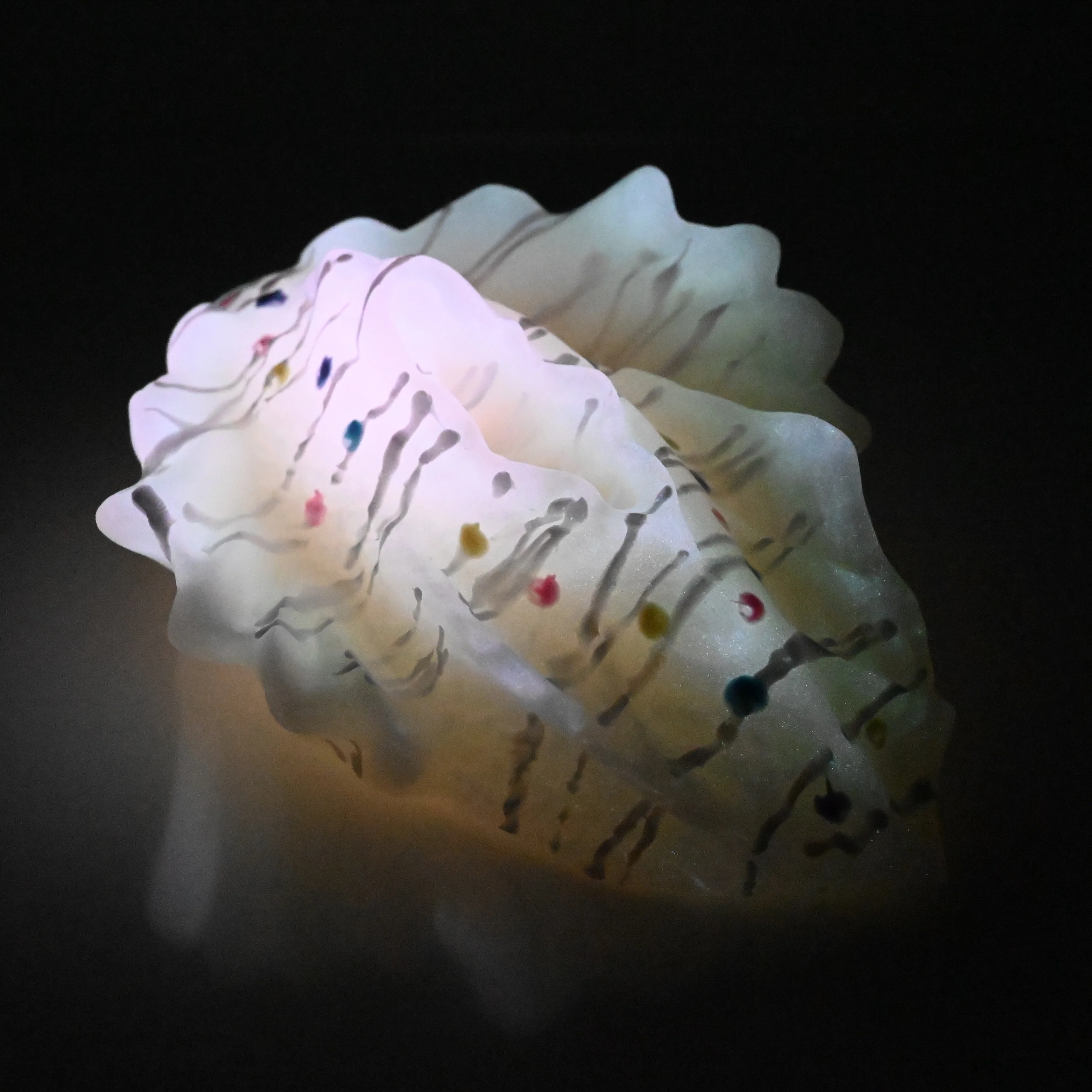 C4SDW39 Calypso Large 0030 UV GITD - Image 4