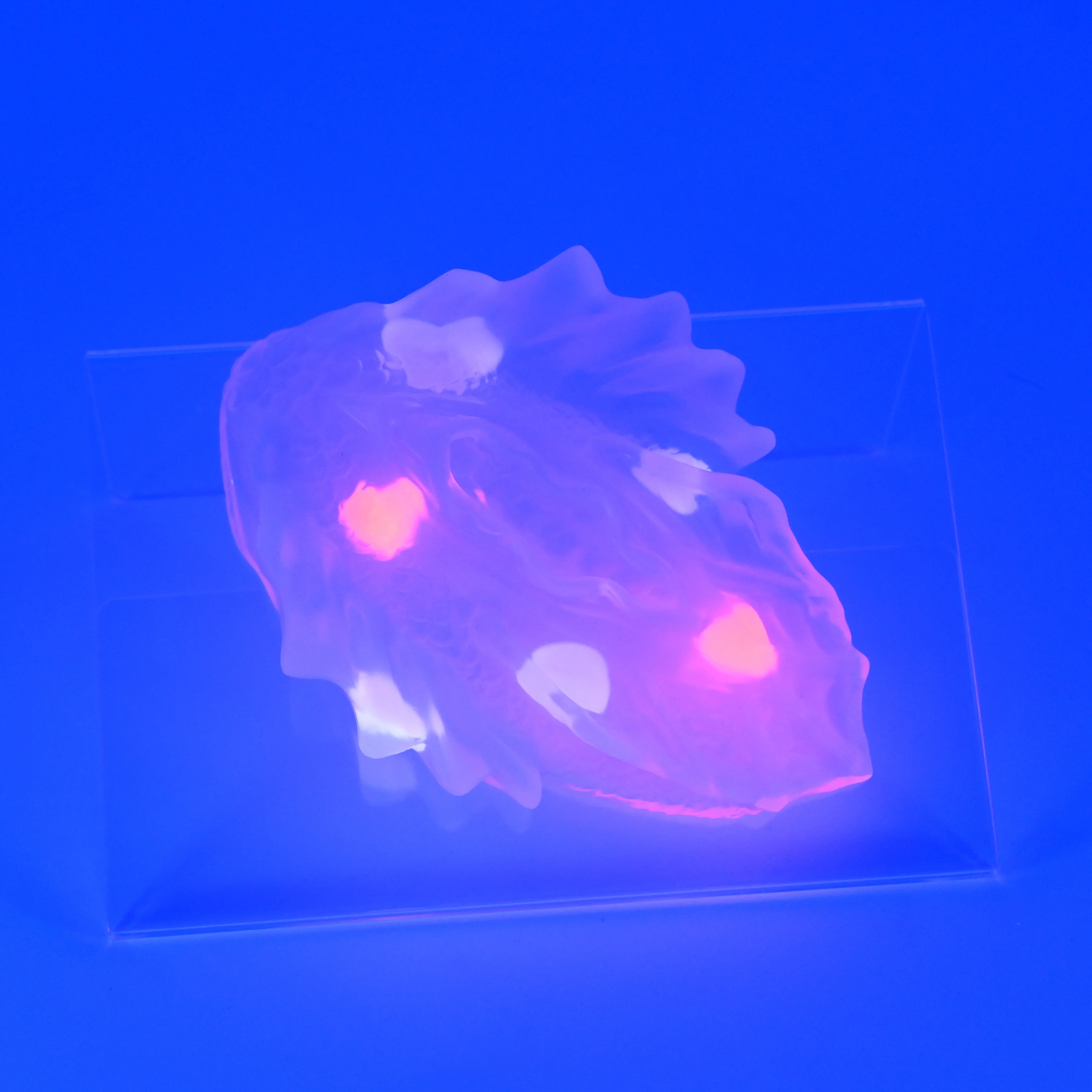 C2THA97 Calypso Small NC 0031 UV GITD CS - Image 3