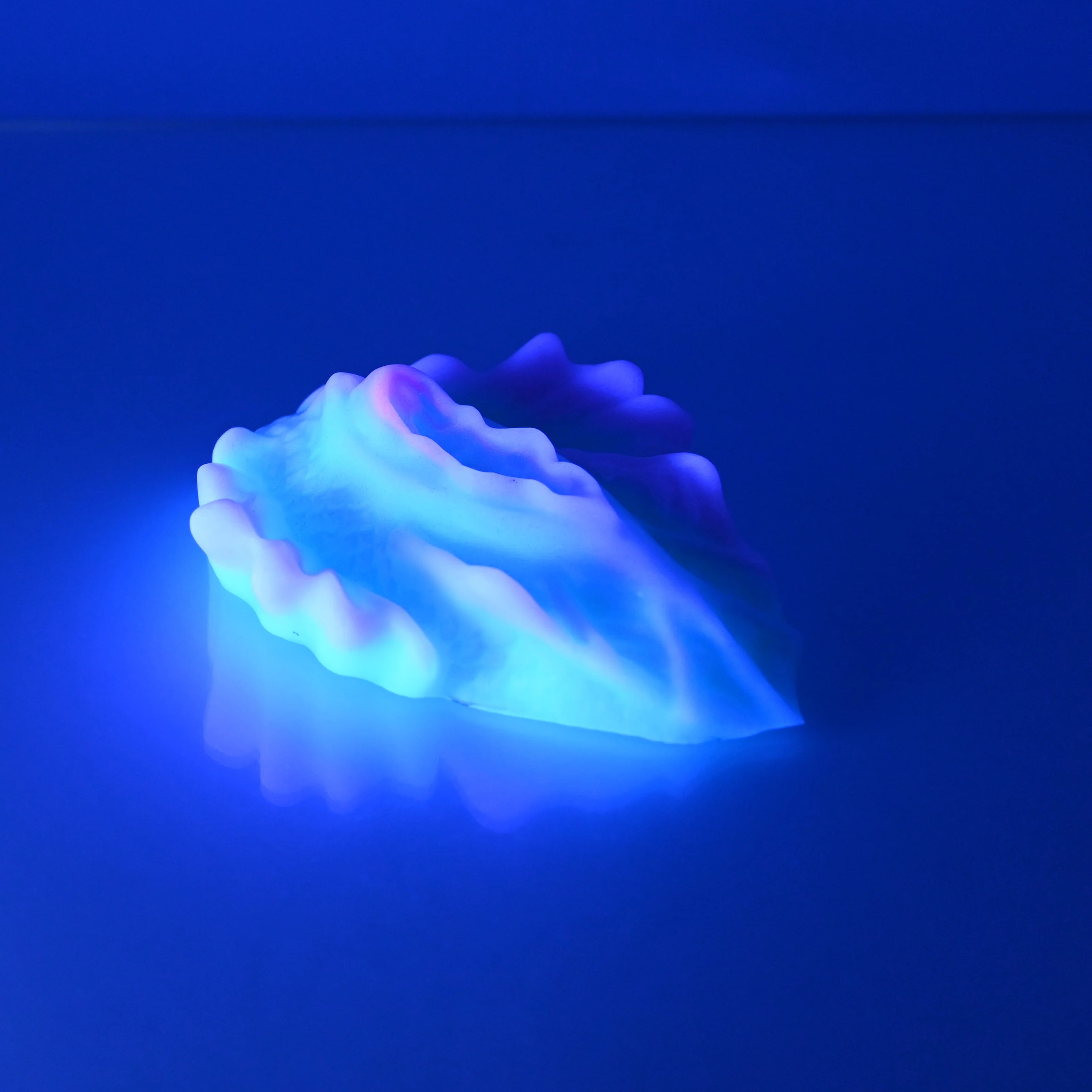 C2SCS27 Calypso Small 0030 UV - Image 4