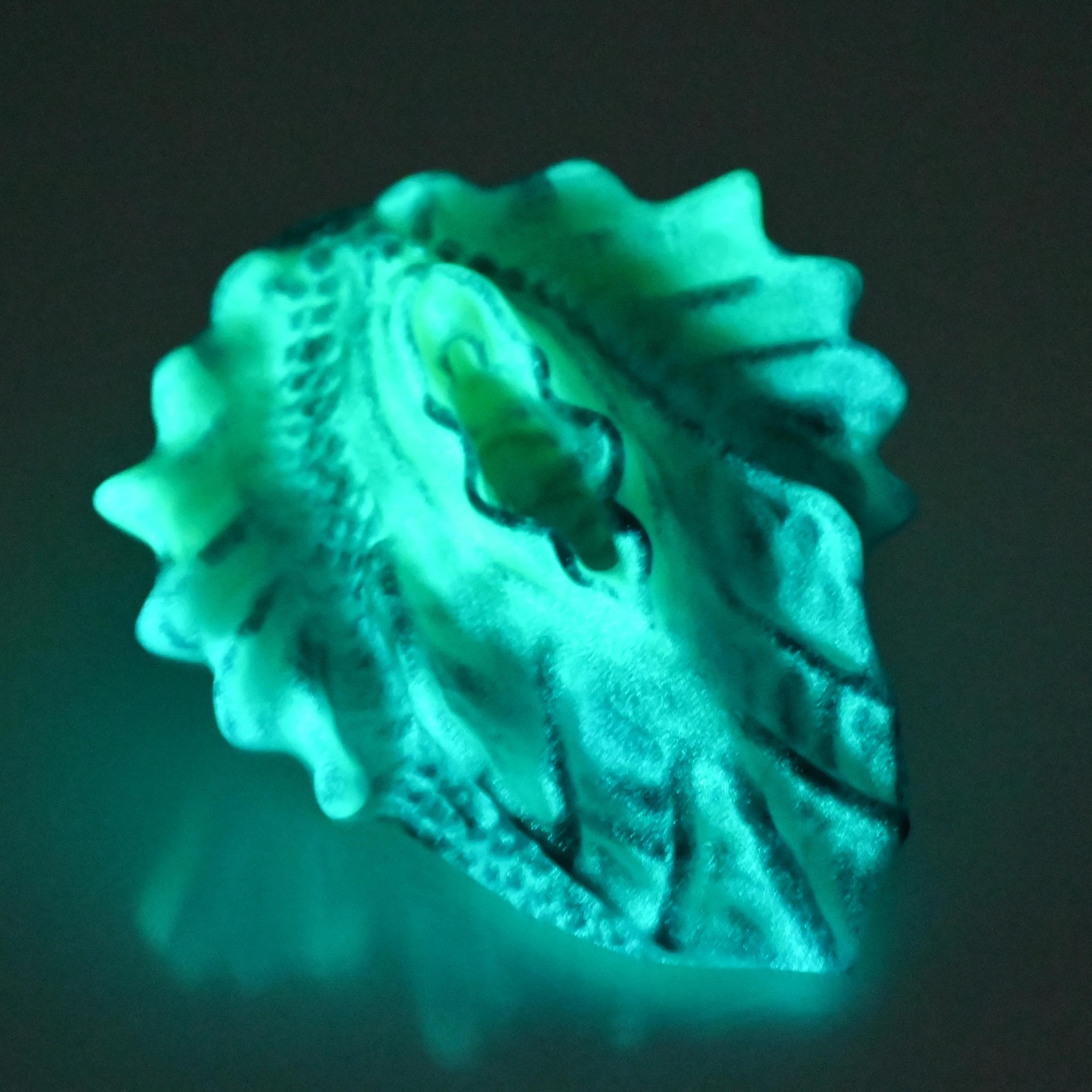C2SEC19 Calypso Small 0030 UV GITD - Image 4