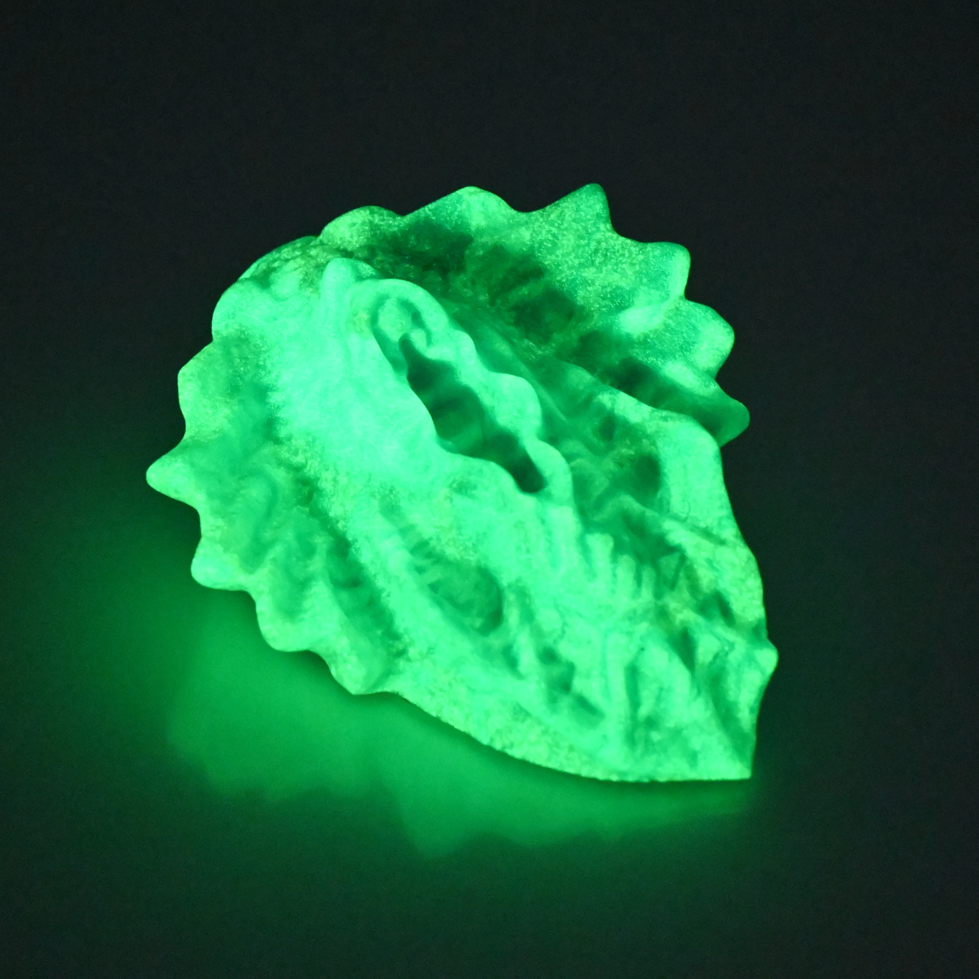 C2MEQ18 Calypso Small 0050 UV GITD - Image 4