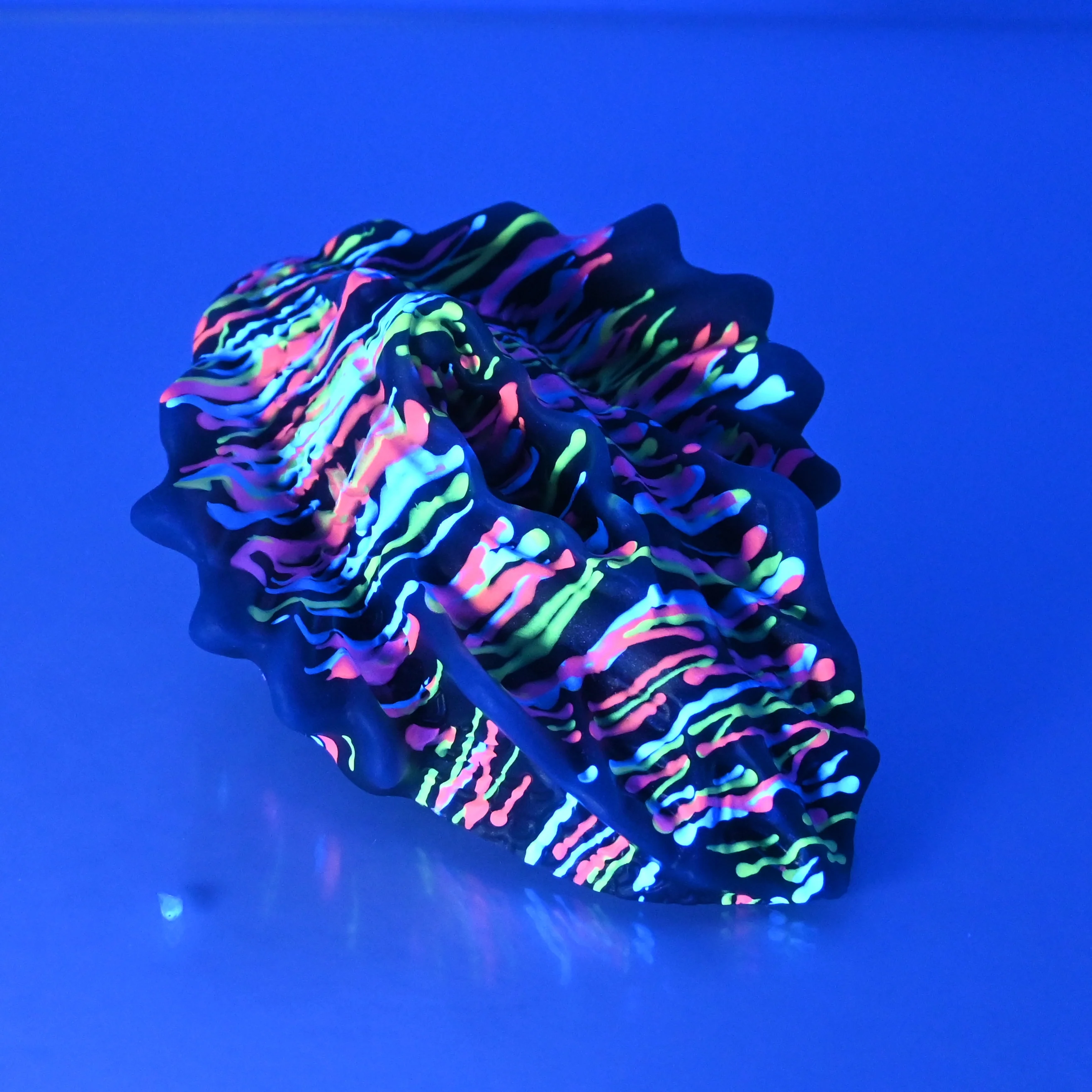 C2SET97 Calypso Small 0030 UV - Image 3