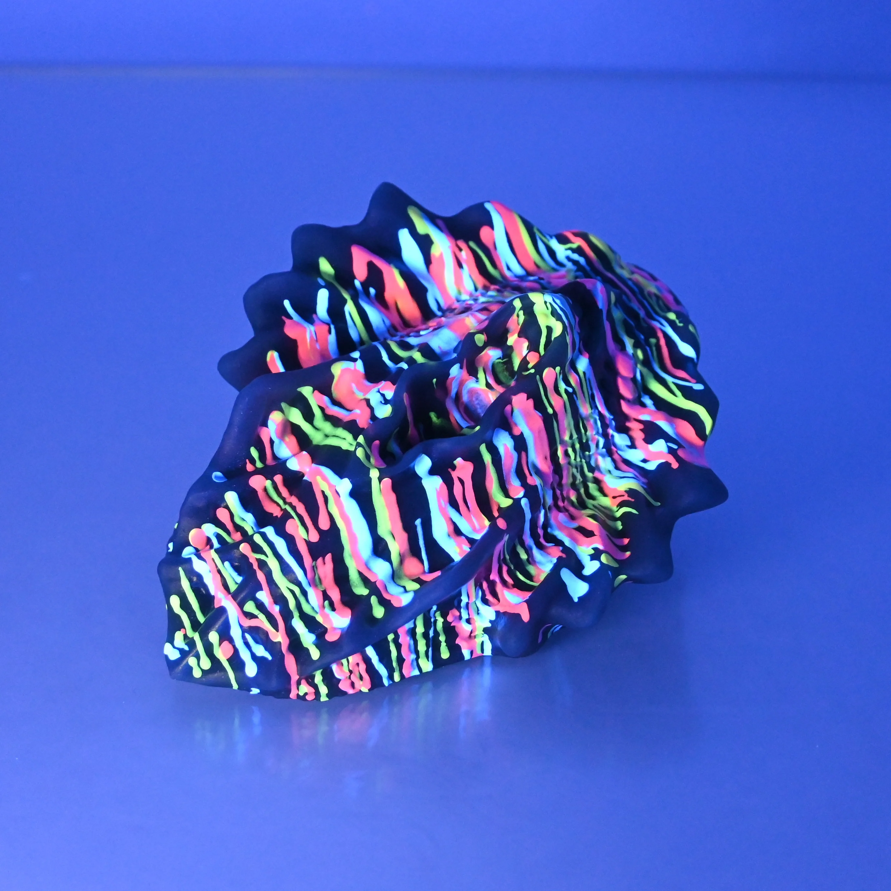 C2SET97 Calypso Small 0030 UV - Image 4
