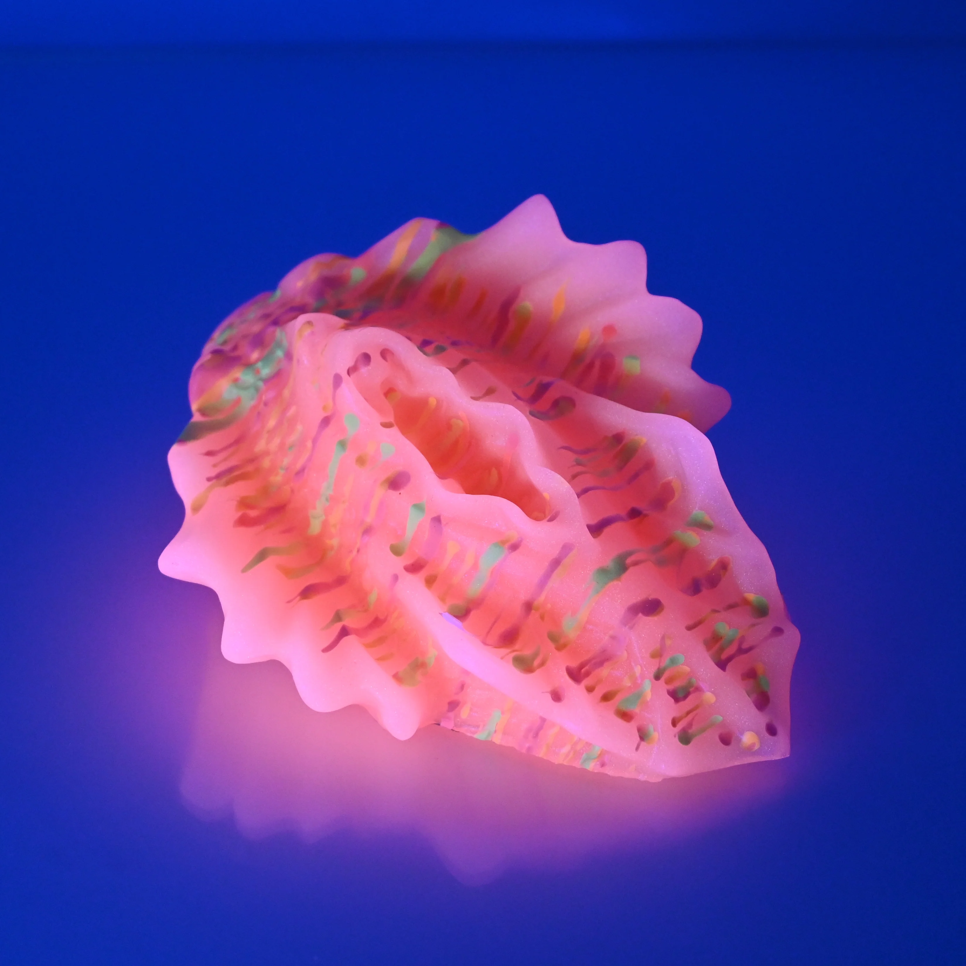 C2XEV20 Calypso Small 0020 UV GITD - Image 3