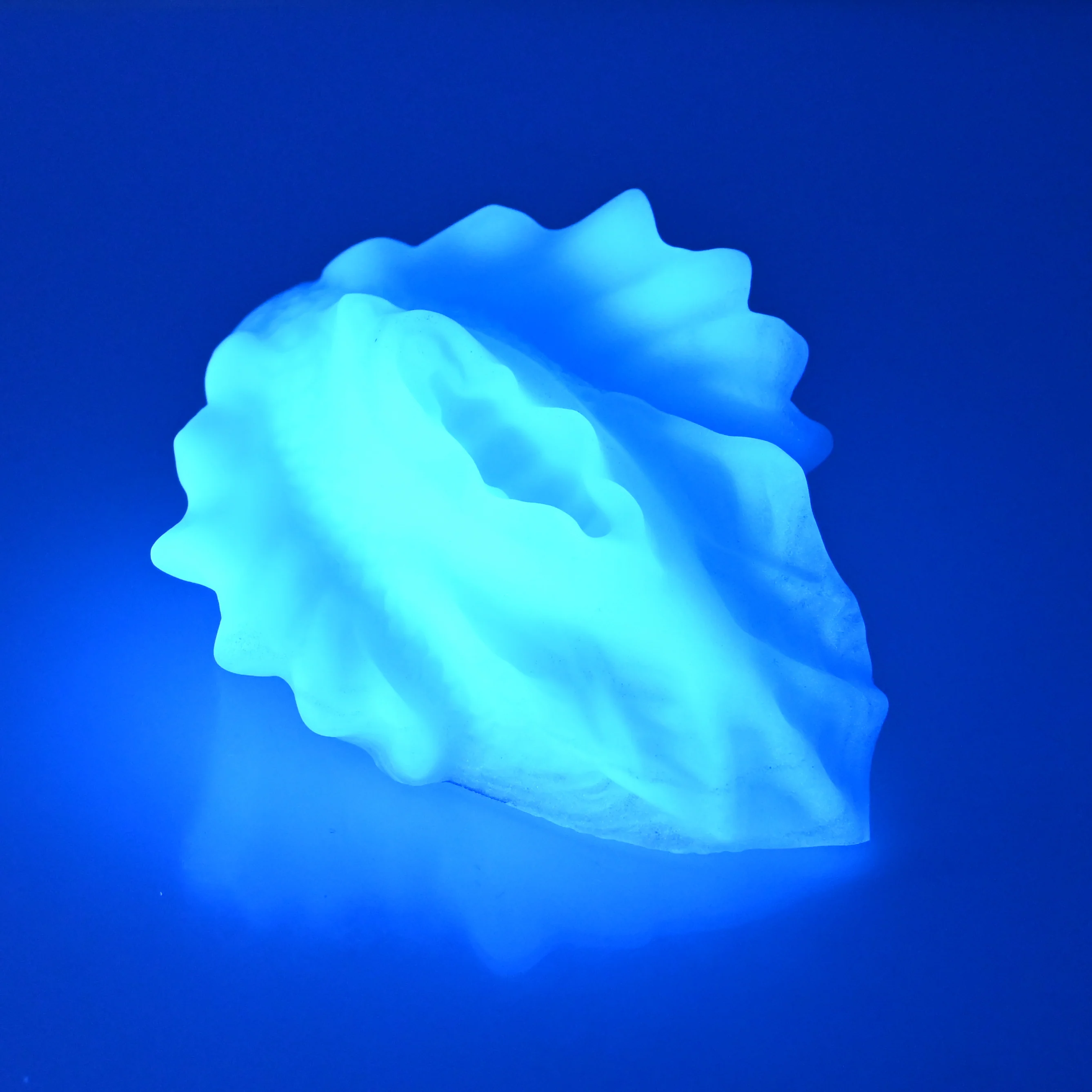 C2SFA06 Calypso Small 0030 UV GITD - Image 3