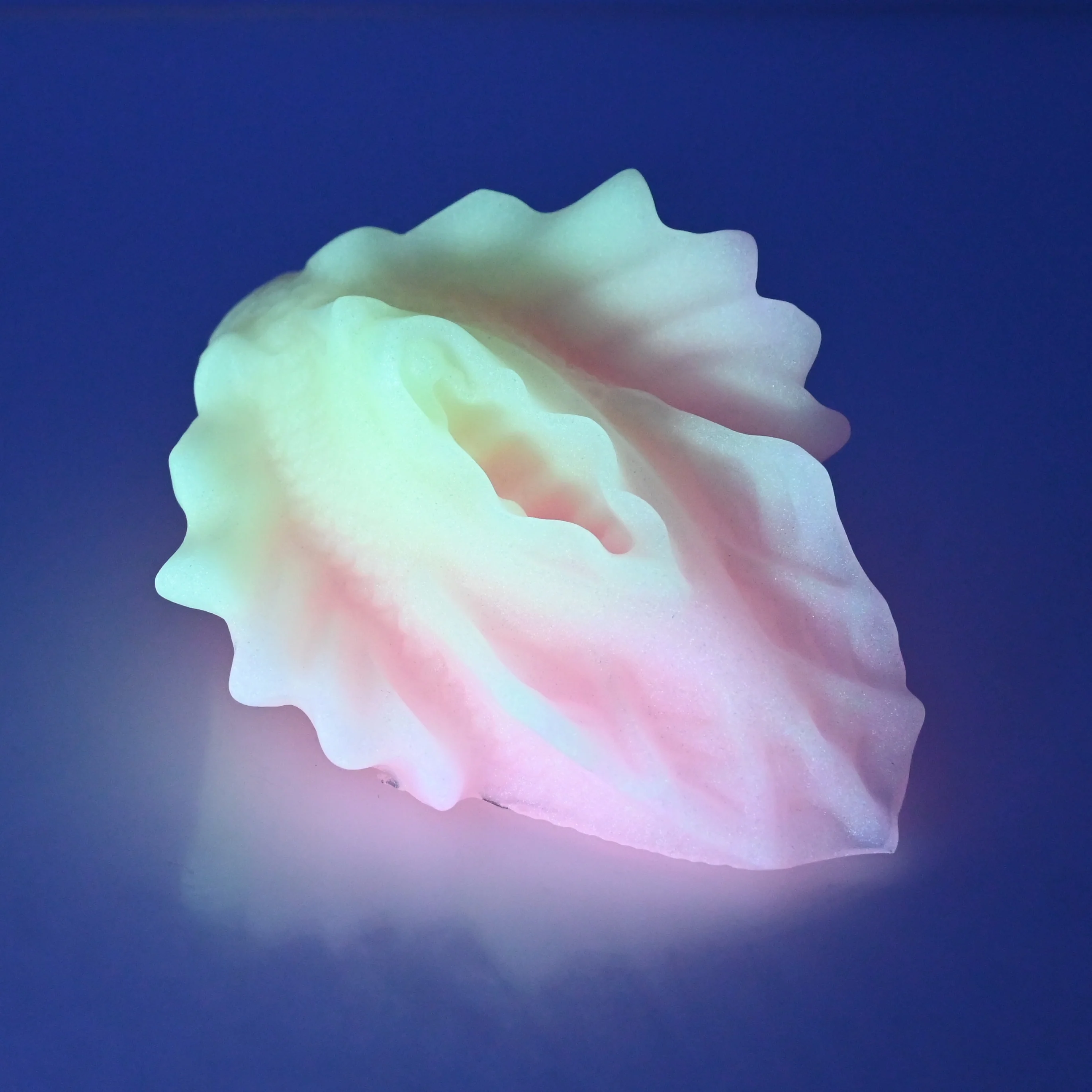 C2SFB93 Calypso Small 0030 UV GITD - Image 3