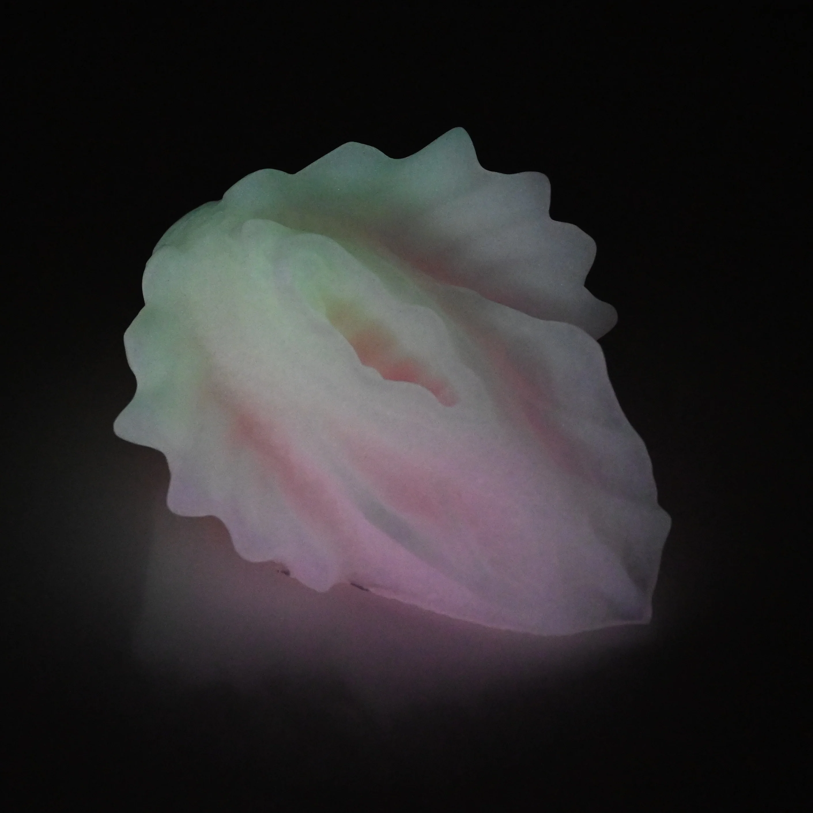 C2SFB93 Calypso Small 0030 UV GITD - Image 4