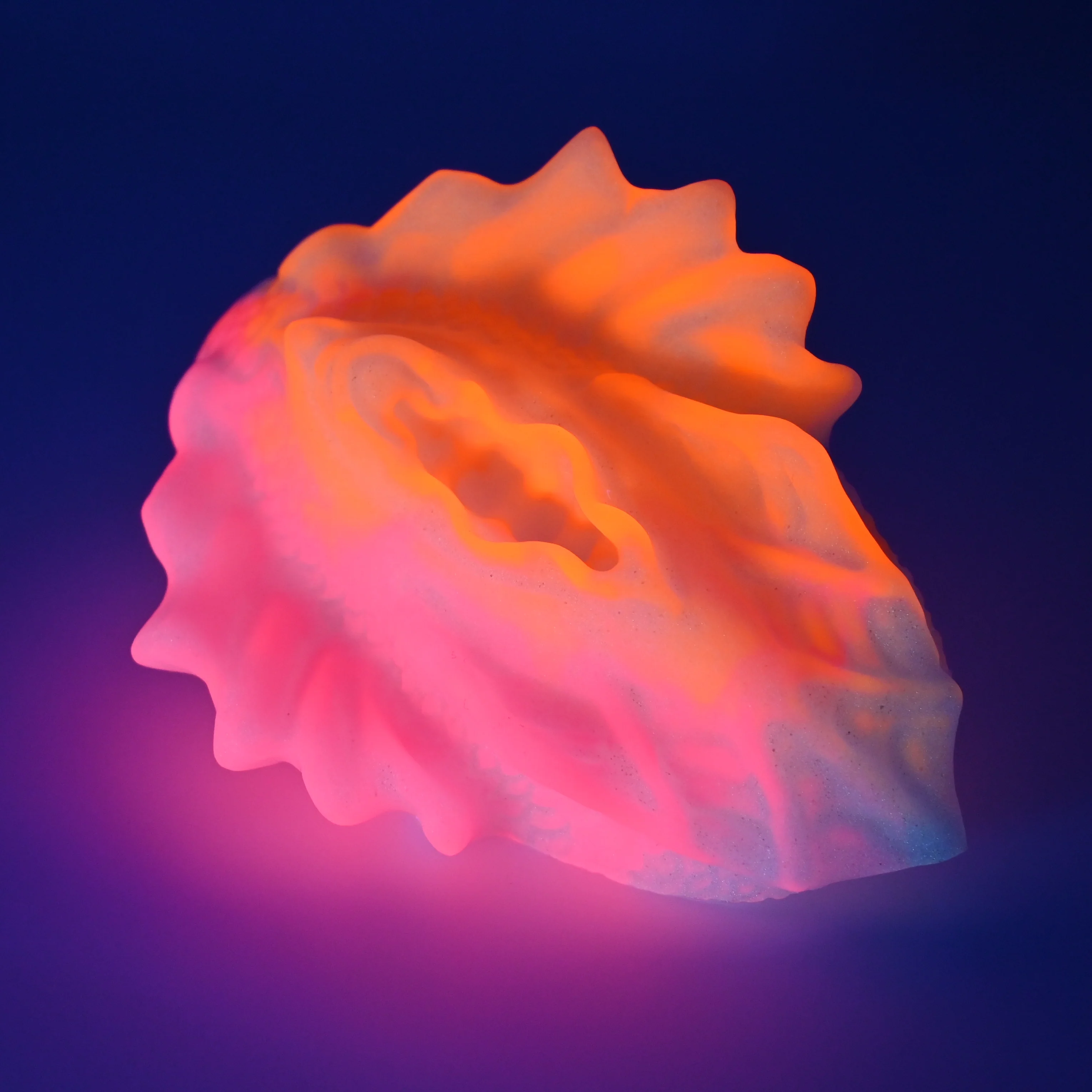 C2SFL81 Calypso Small 0030 UV GITD - Image 3