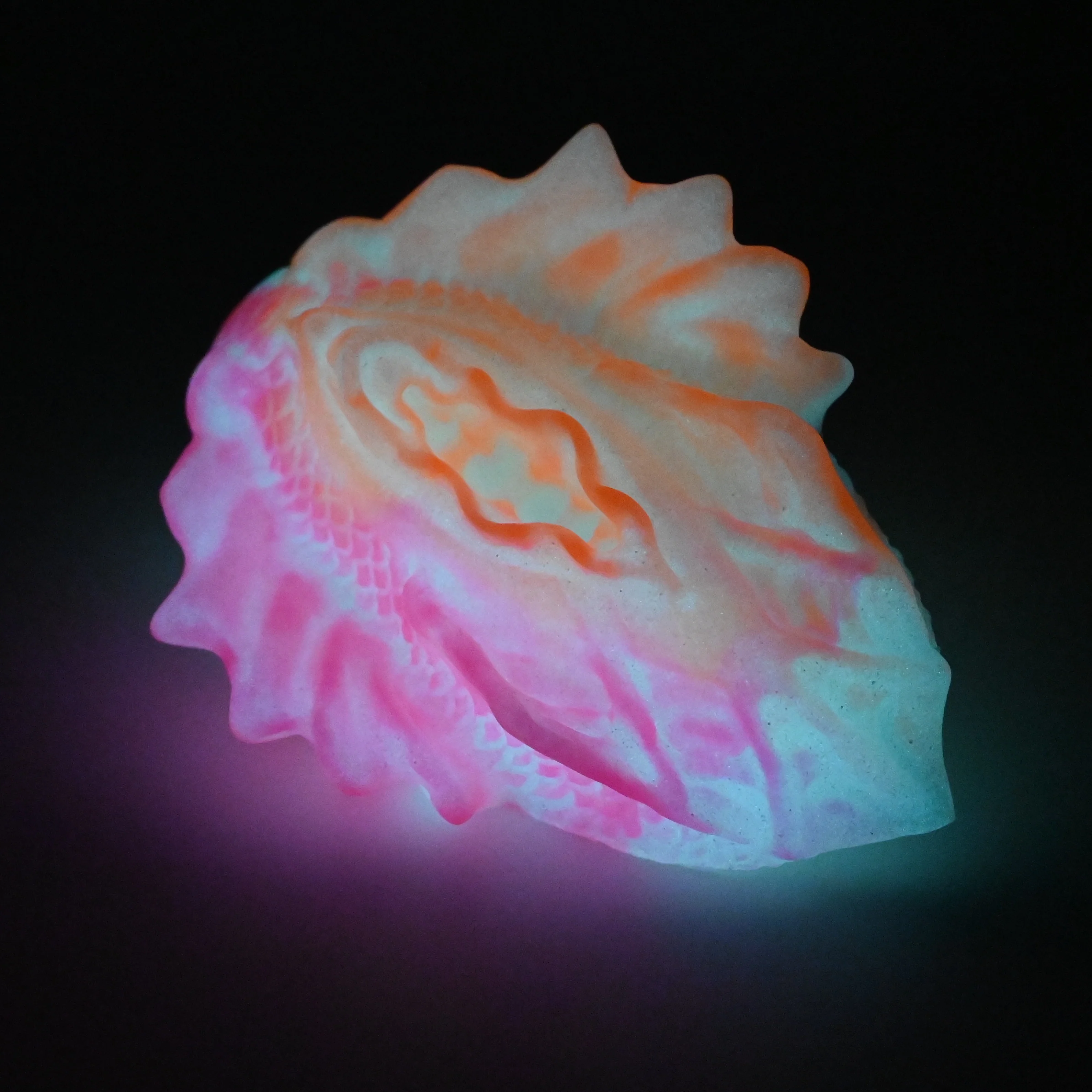 C2SFL81 Calypso Small 0030 UV GITD - Image 4